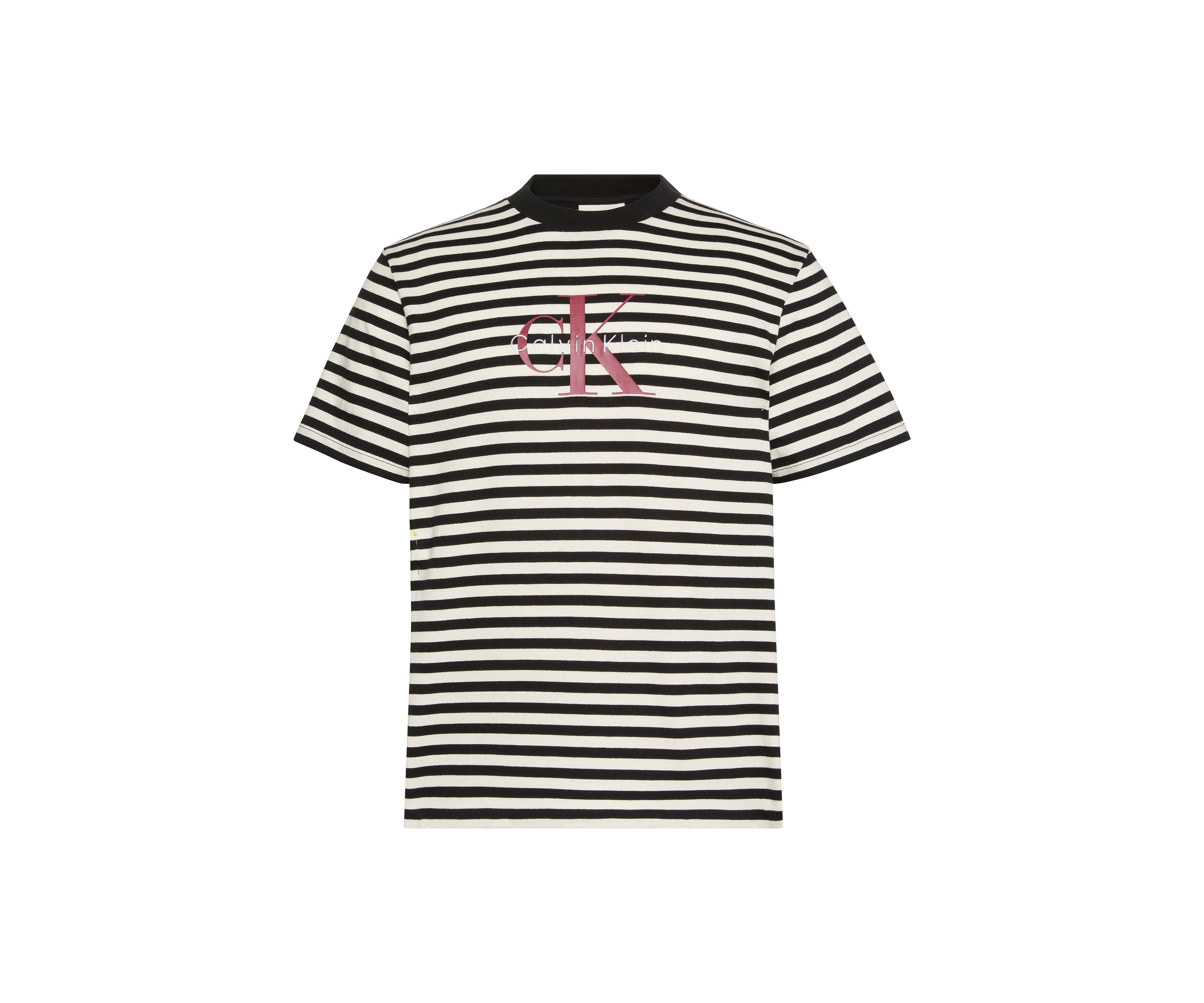 Stripe Logo Graphic T-Shirt