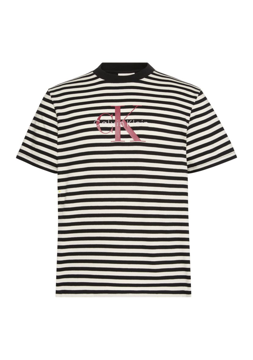 Stripe Logo Graphic T-Shirt