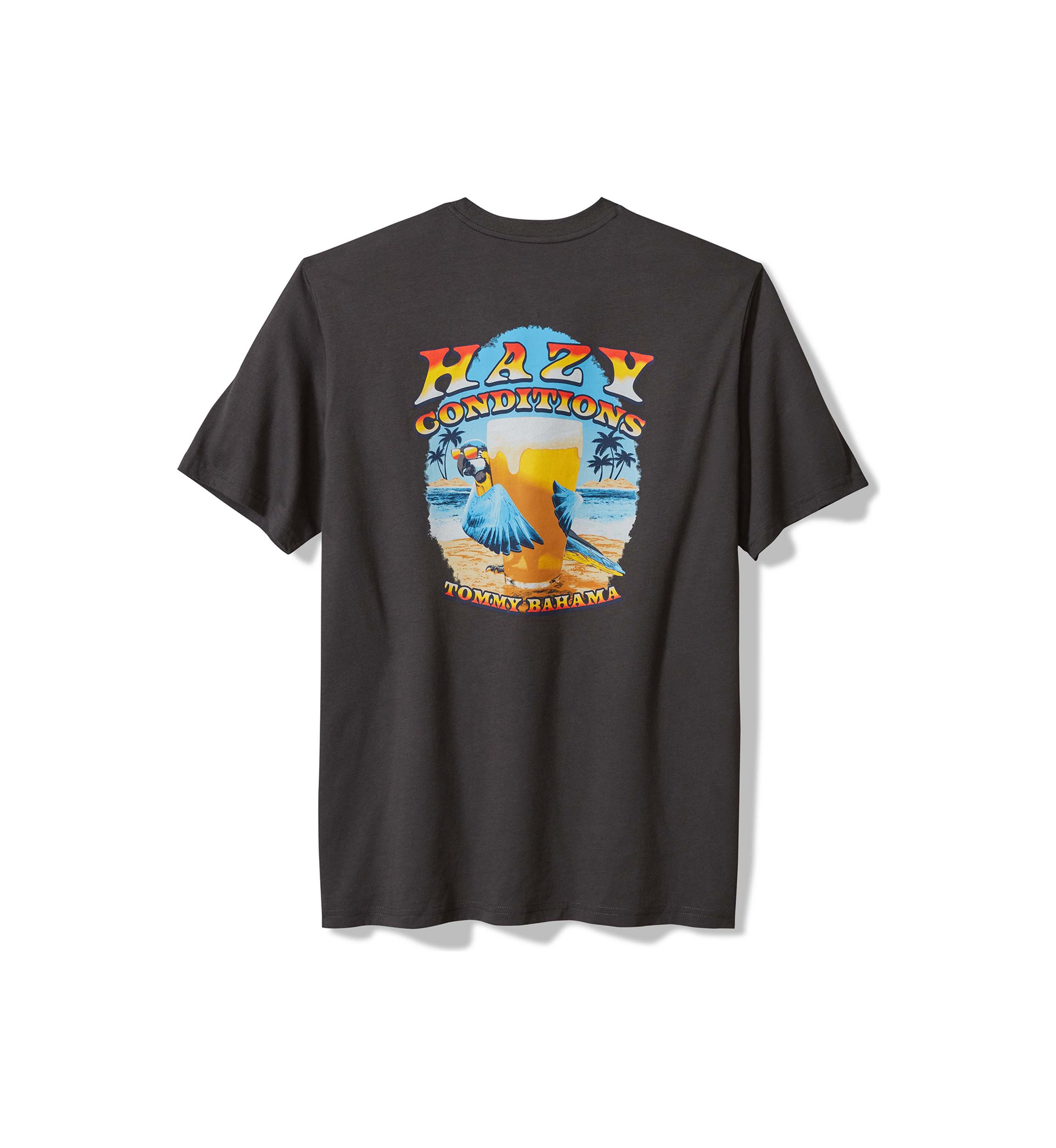 Big & Tall Short Sleeve Hazy Conditions Graphic T-Shirt
