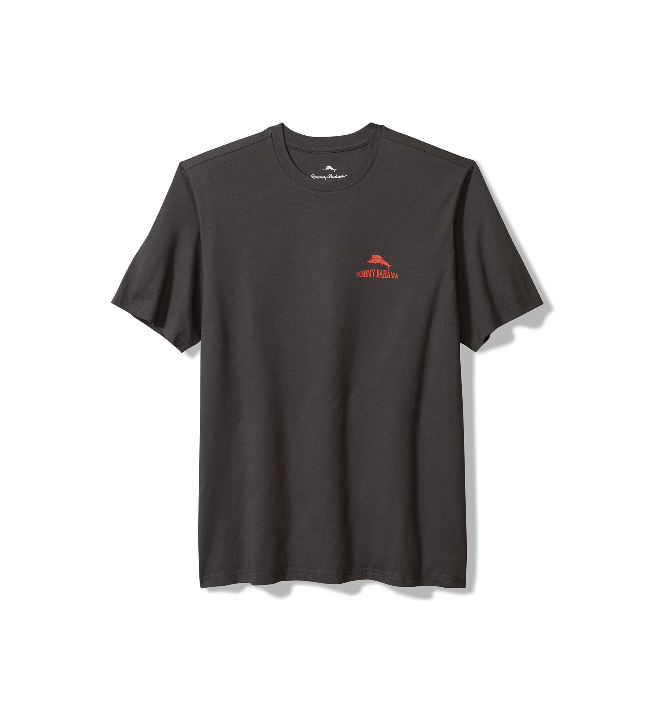 Big & Tall Short Sleeve Hazy Conditions Graphic T-Shirt