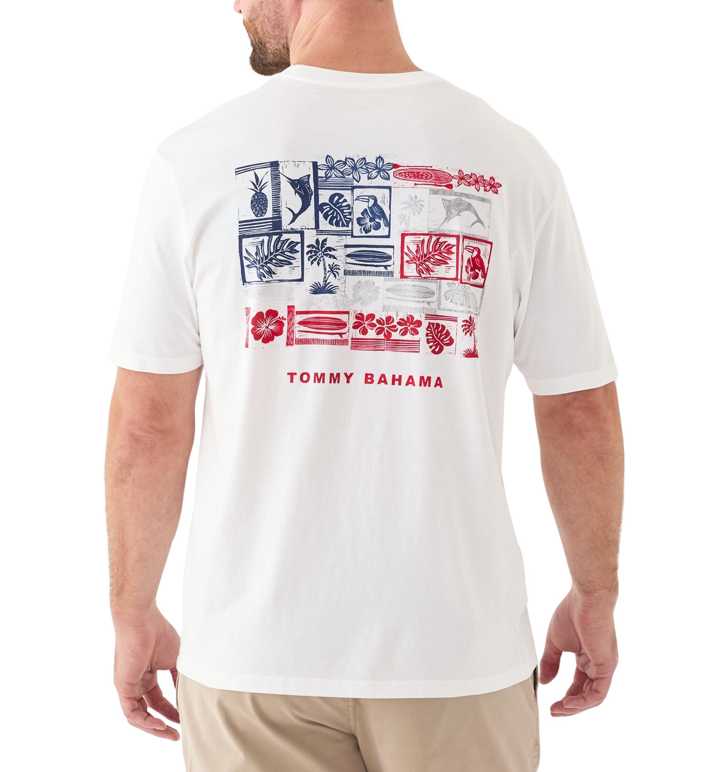 Big & Tall Short Sleeve Americana Boardblock Graphic T-Shirt