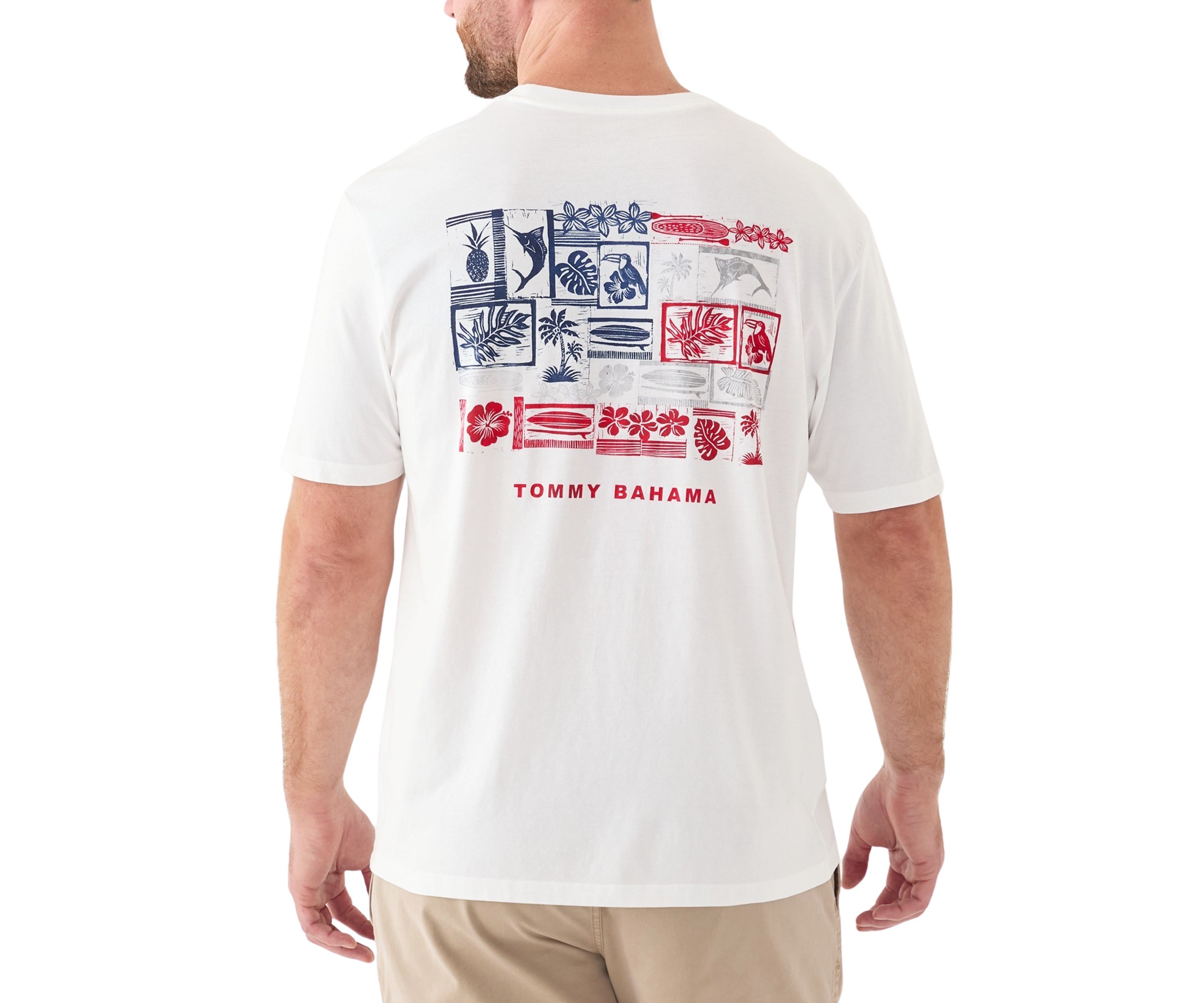Big & Tall Short Sleeve Americana Boardblock Graphic T-Shirt