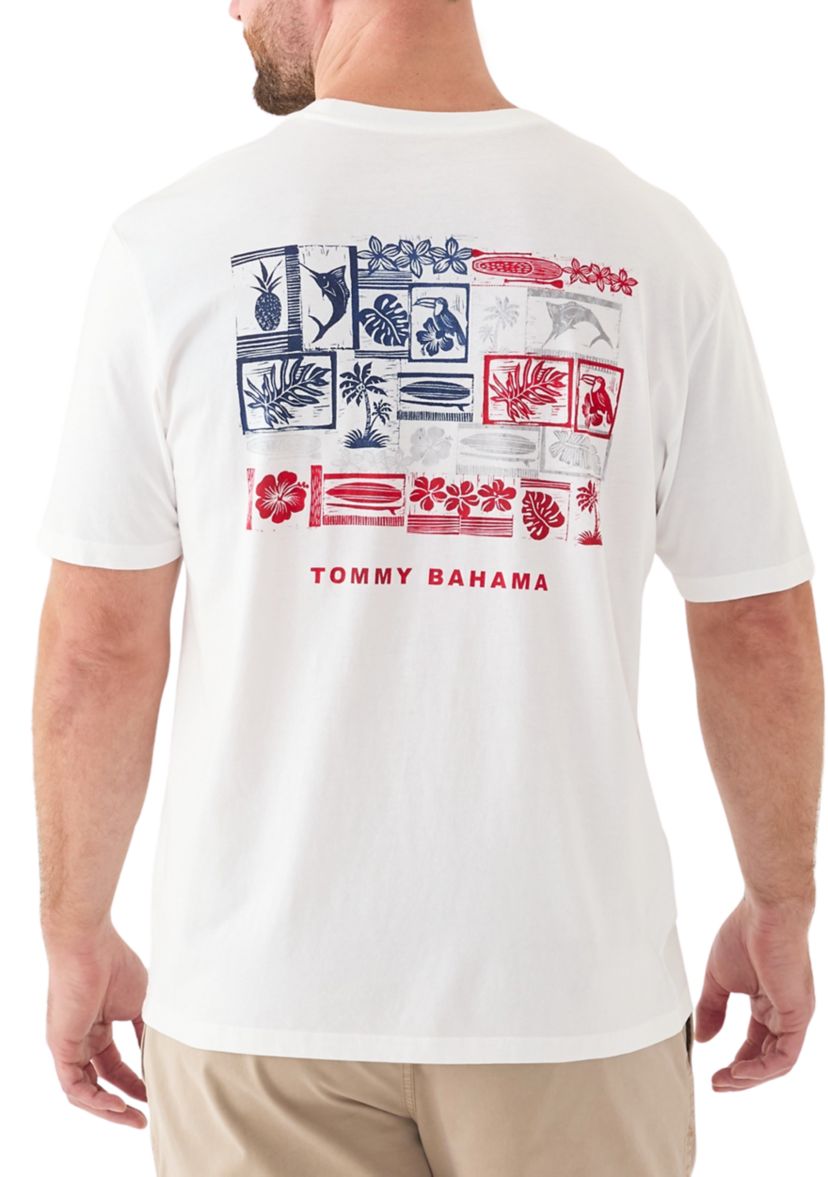 Big & Tall Short Sleeve Americana Boardblock Graphic T-Shirt