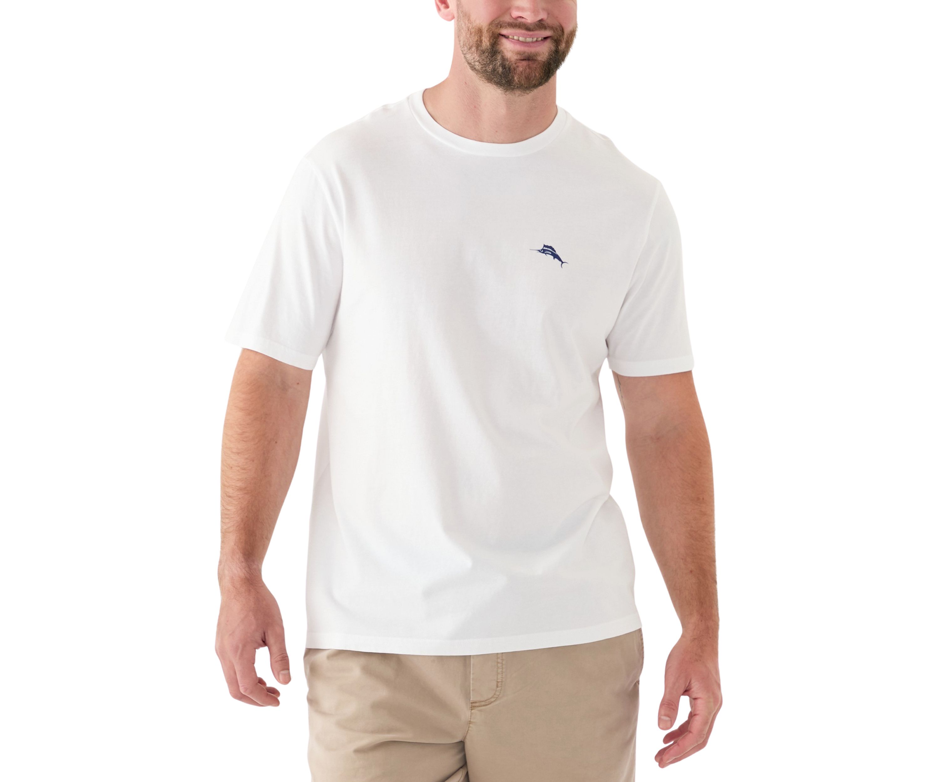 Big & Tall Short Sleeve Americana Boardblock Graphic T-Shirt