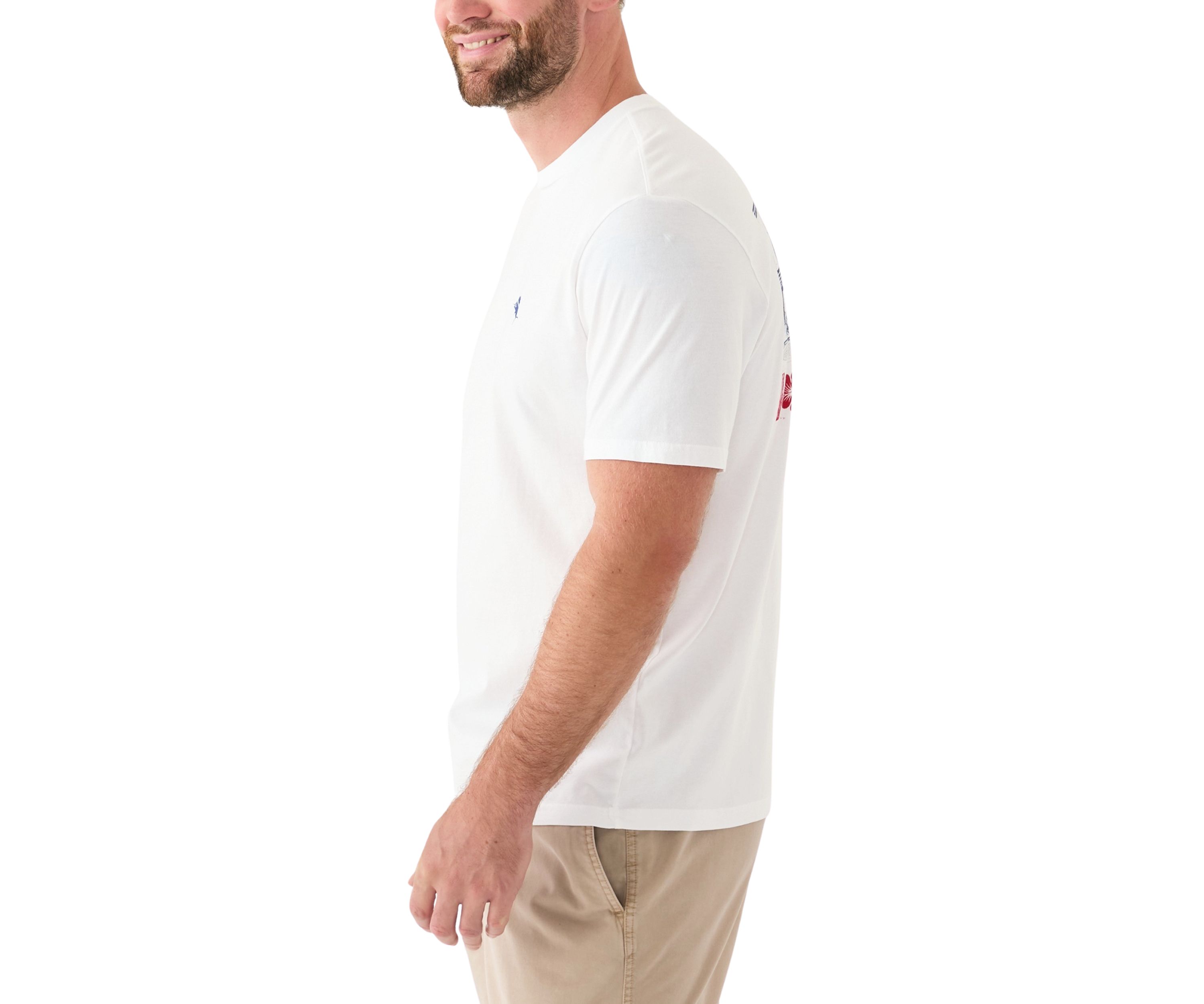 Big & Tall Short Sleeve Americana Boardblock Graphic T-Shirt