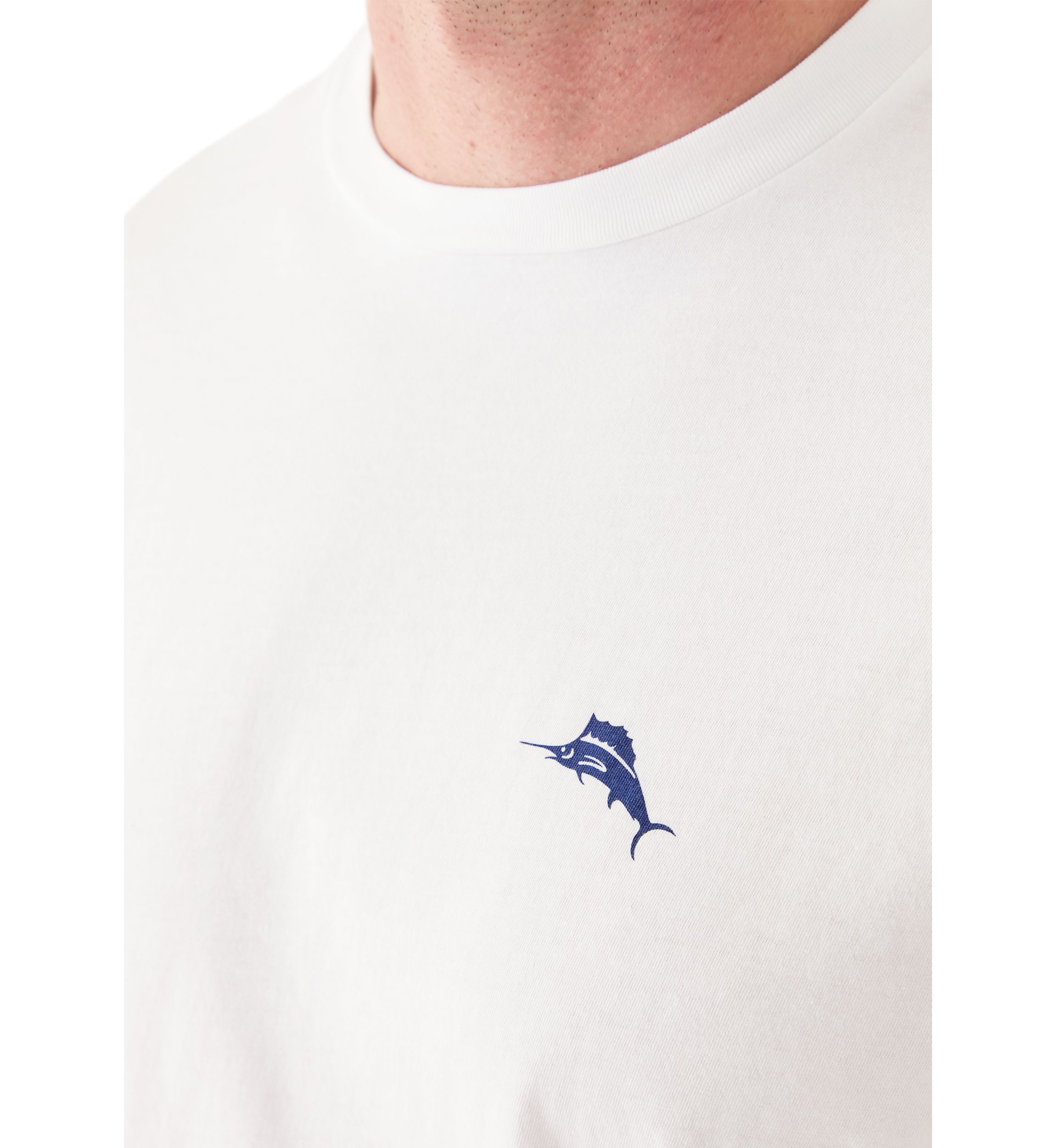 Big & Tall Short Sleeve Americana Boardblock Graphic T-Shirt