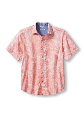 Belk store tommy bahama