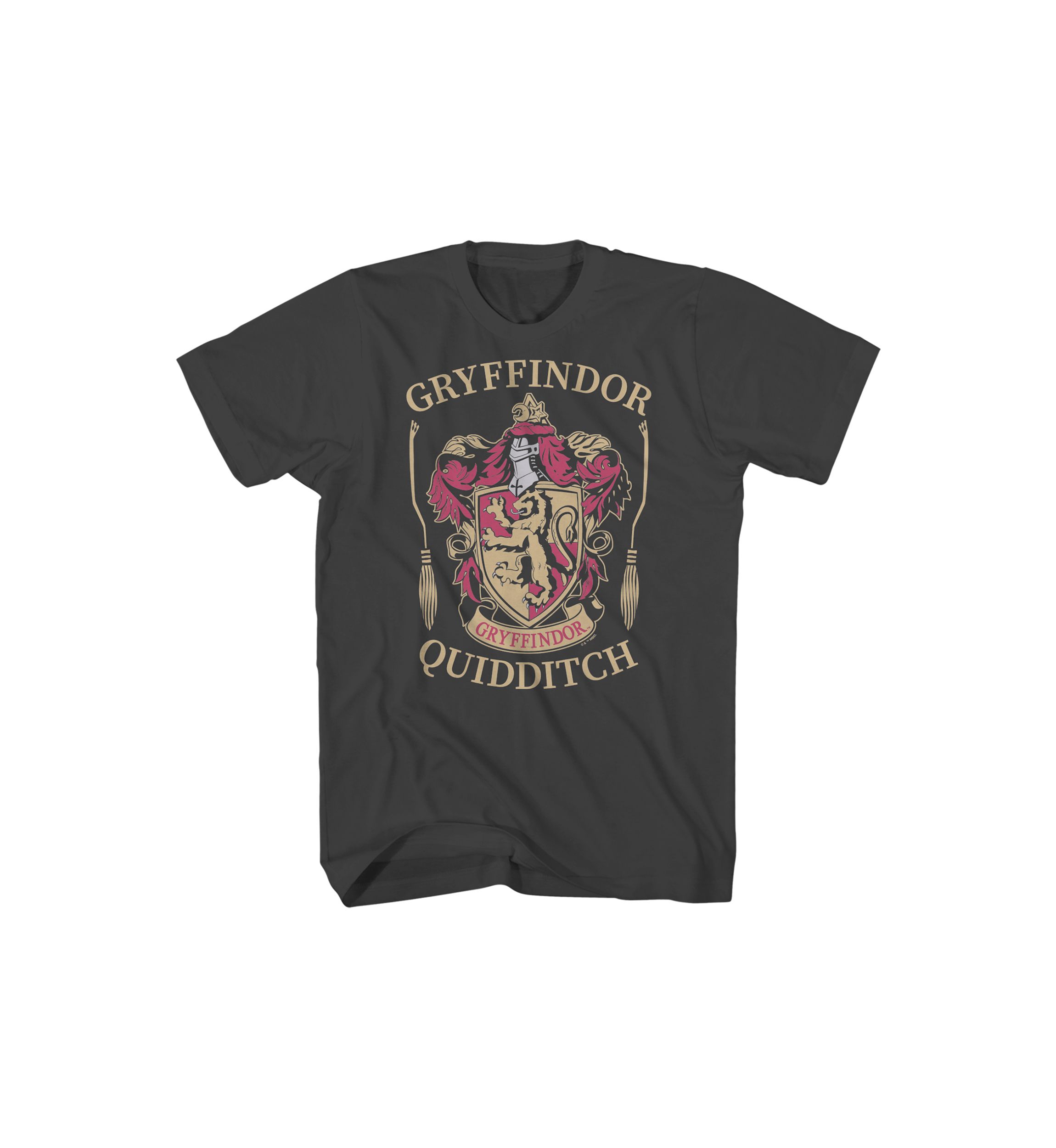 Big & Tall Gryffindor Harry Potter Graphic T-Shirt