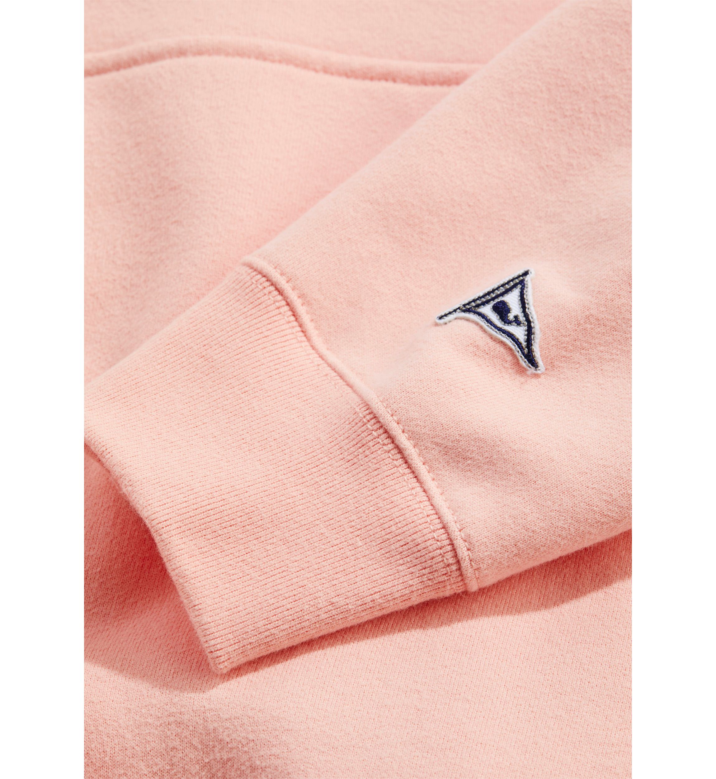Clean Fleece Graphic Hoodie