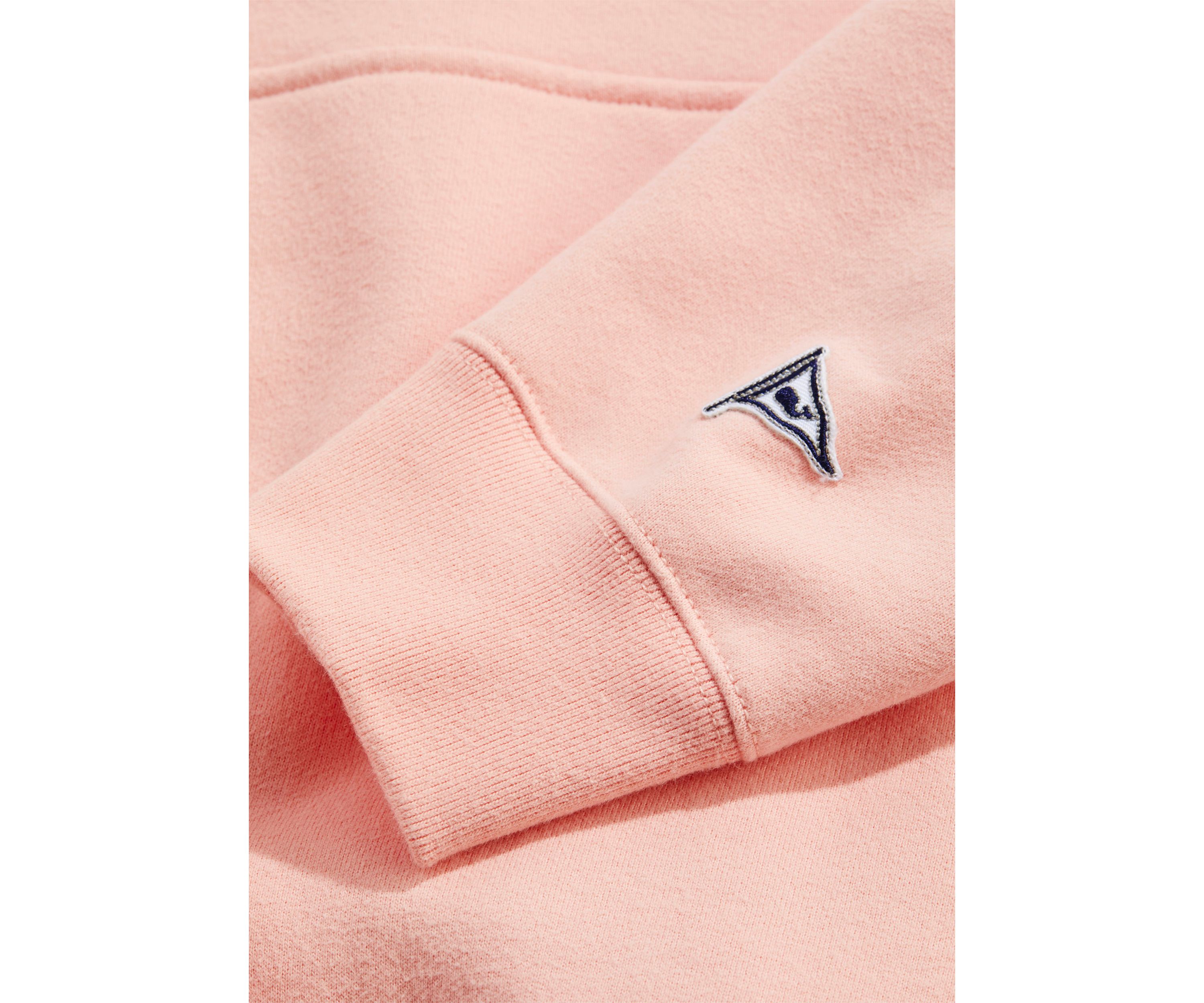 Clean Fleece Graphic Hoodie