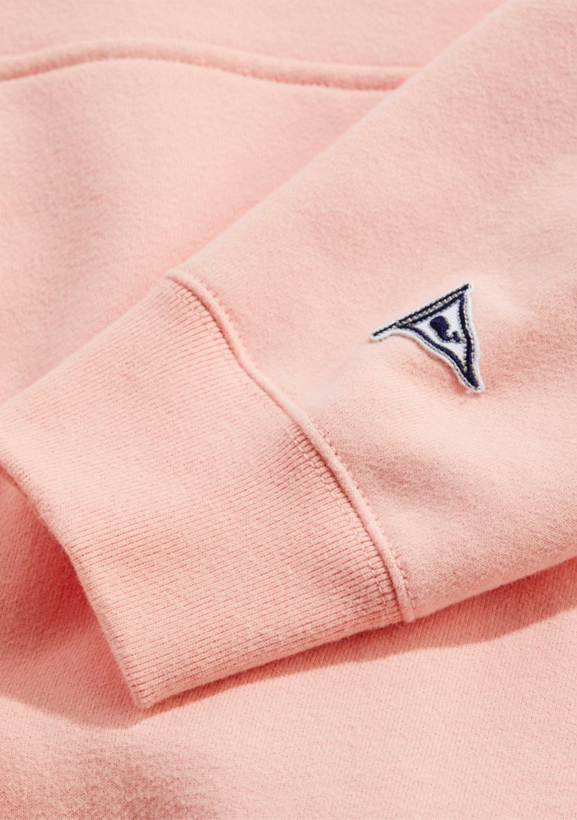 Clean Fleece Graphic Hoodie