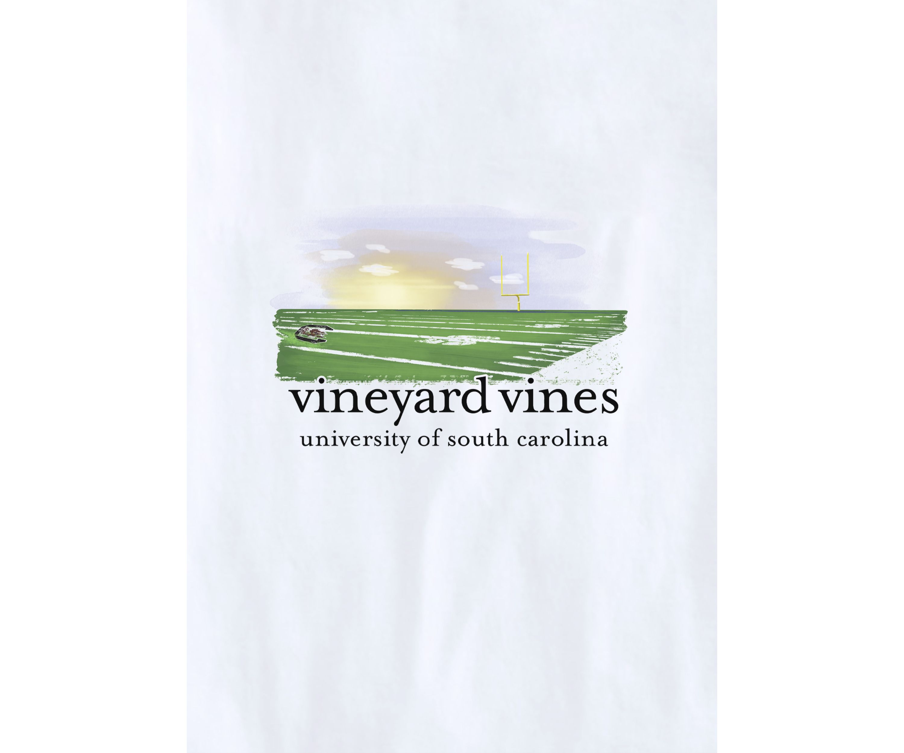 NCAA College South Carolina Gamecocks Graphic T-Shirt