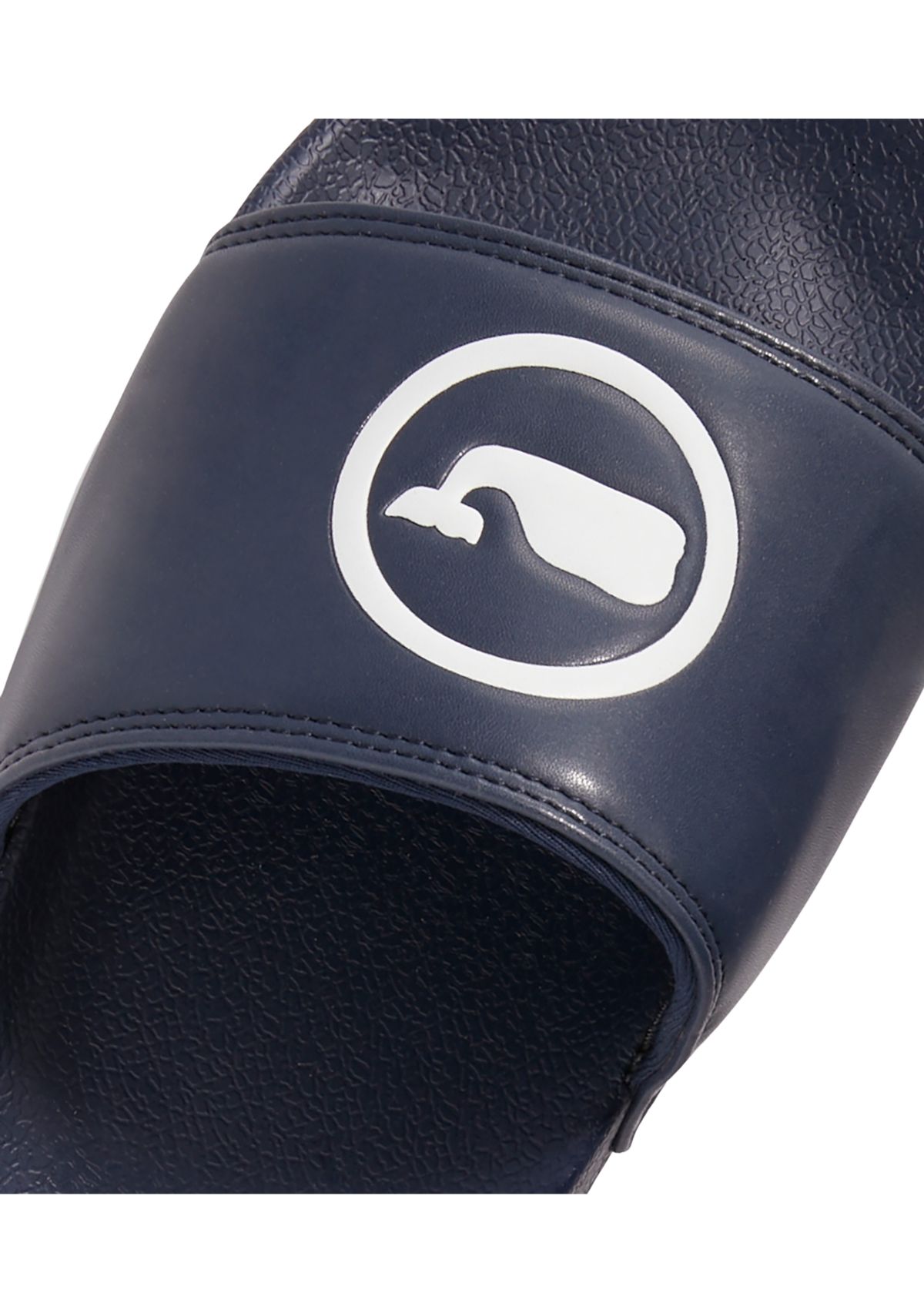 Whale Dot Pool Slides