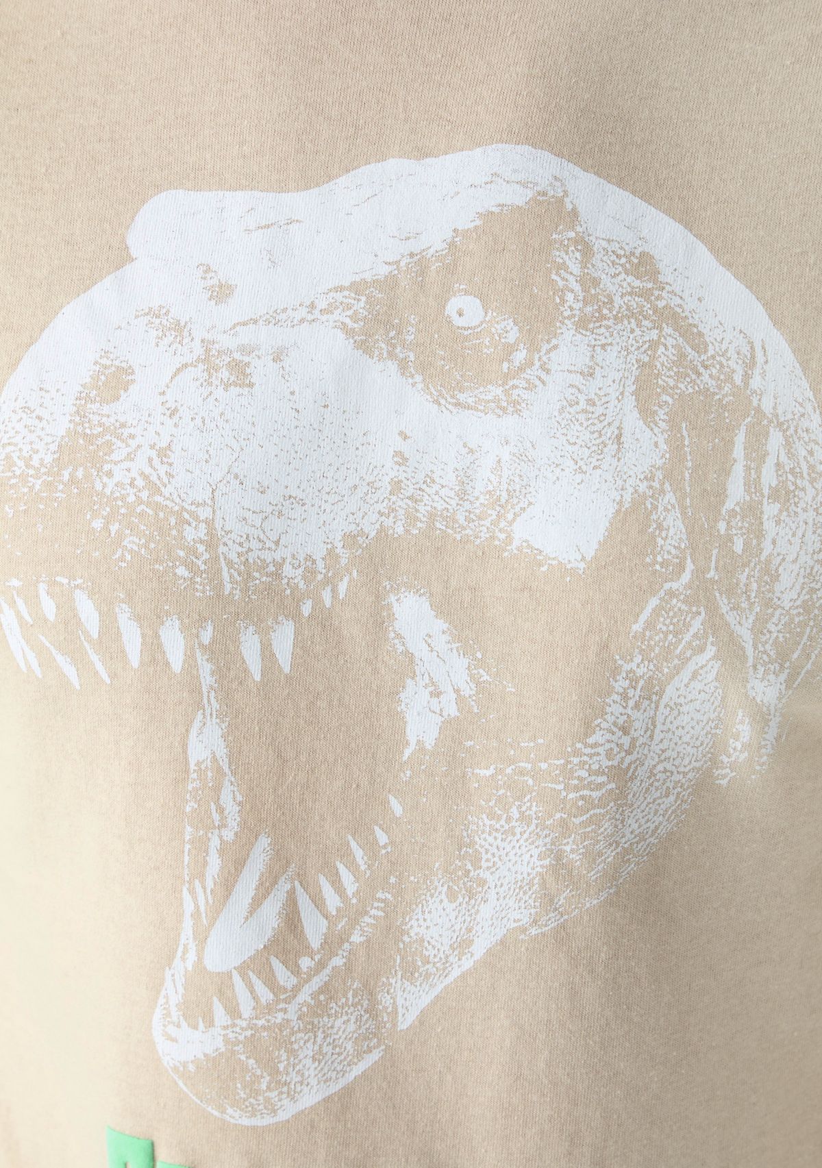 Mens T-Rex Graphic T-Shirt
