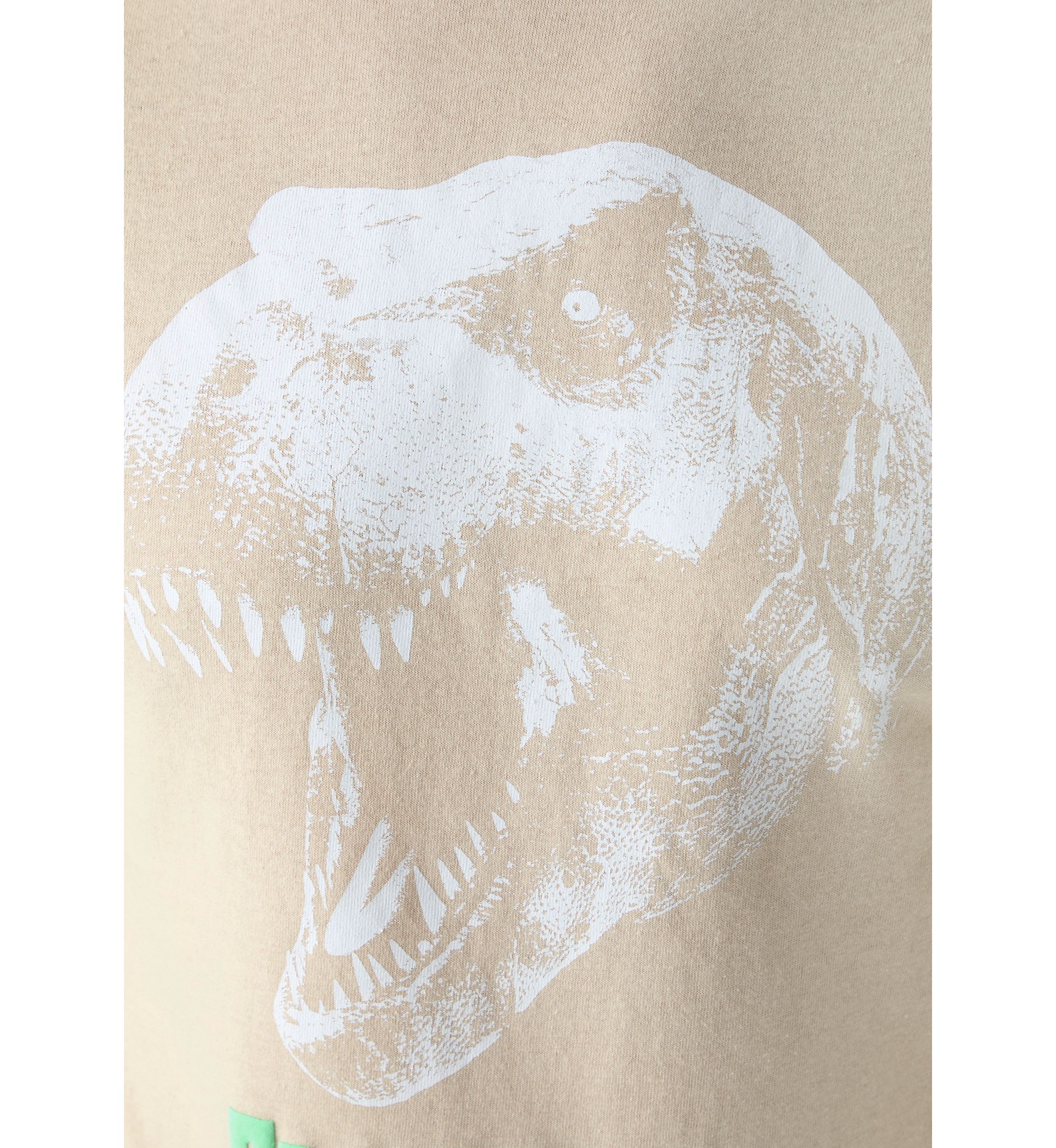 Mens T-Rex Graphic T-Shirt
