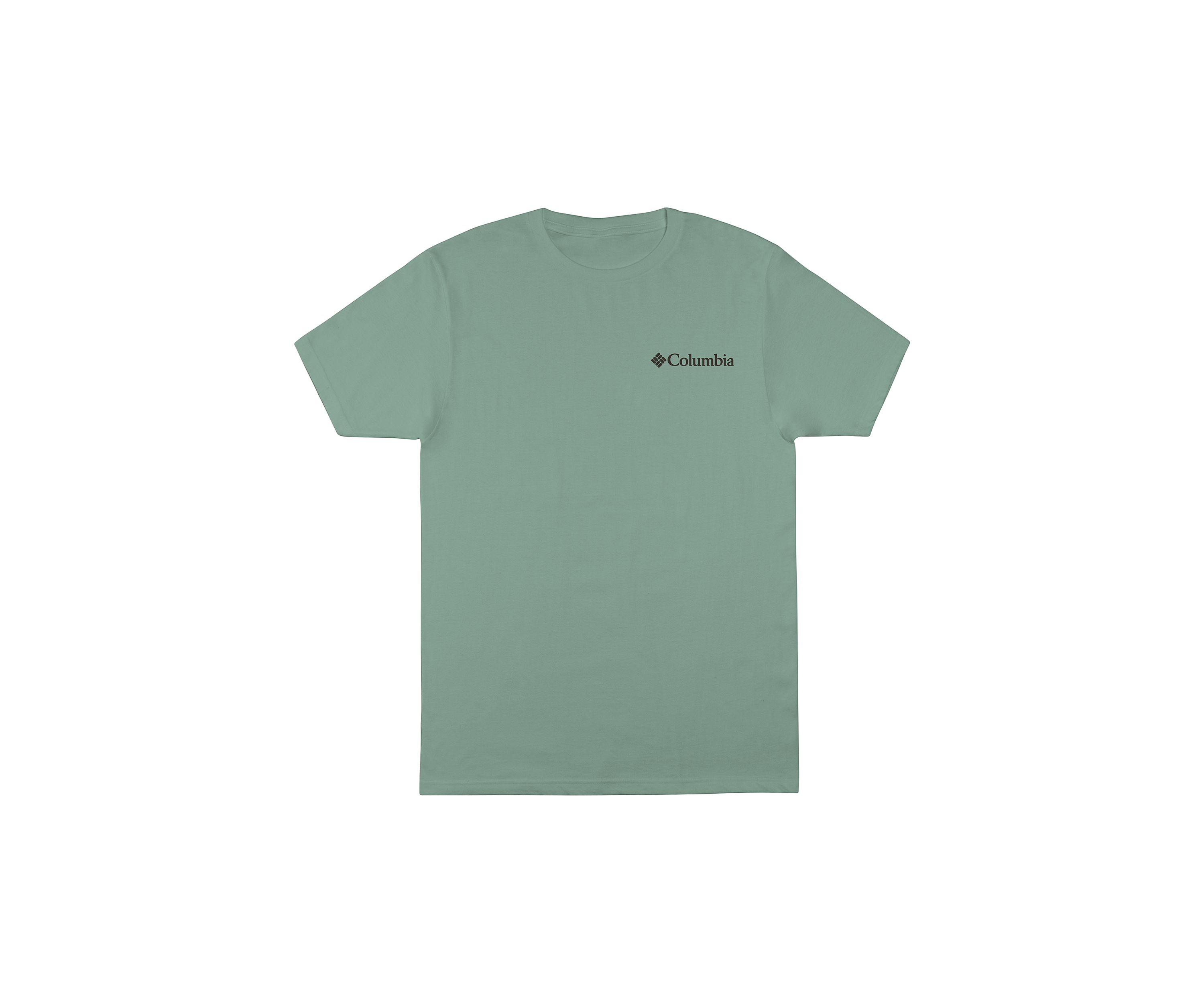 Big & Tall Logo Graphic T-Shirt 