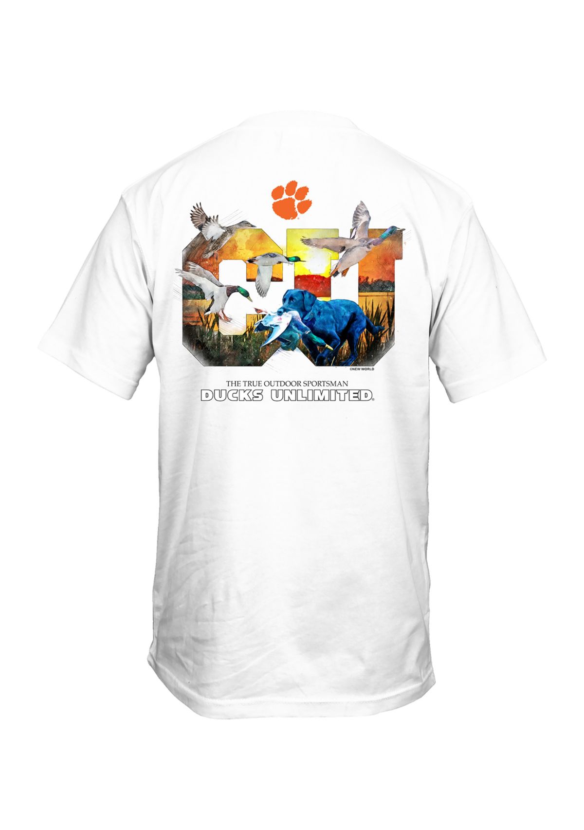 NCAA Clemson Tigers Colorful Sketch Graphic T-Shirt