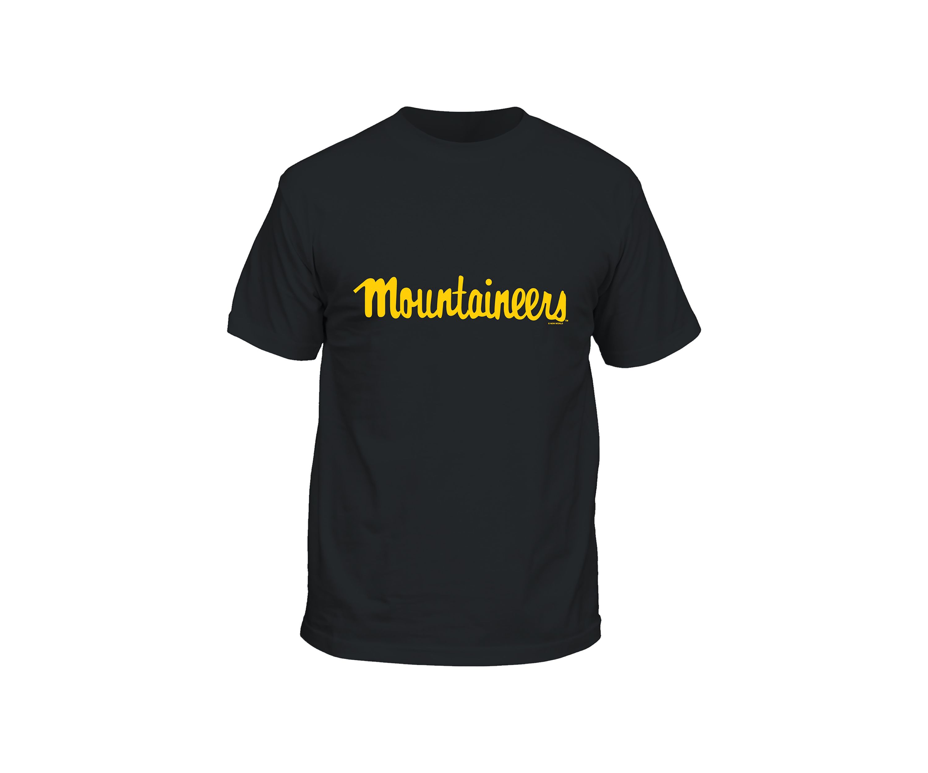NCAA Appalachian State Mountaineers Script Graphic T-Shirt