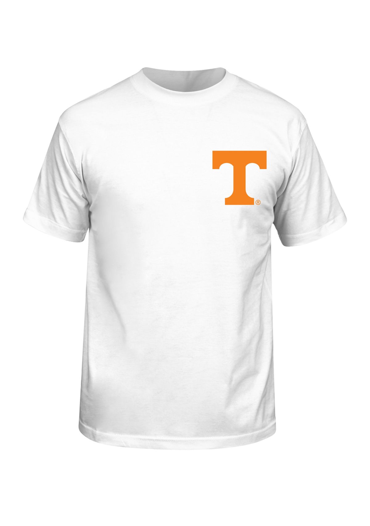 NCAA Tennessee Volunteers Year Painting Graphic T-Shirt