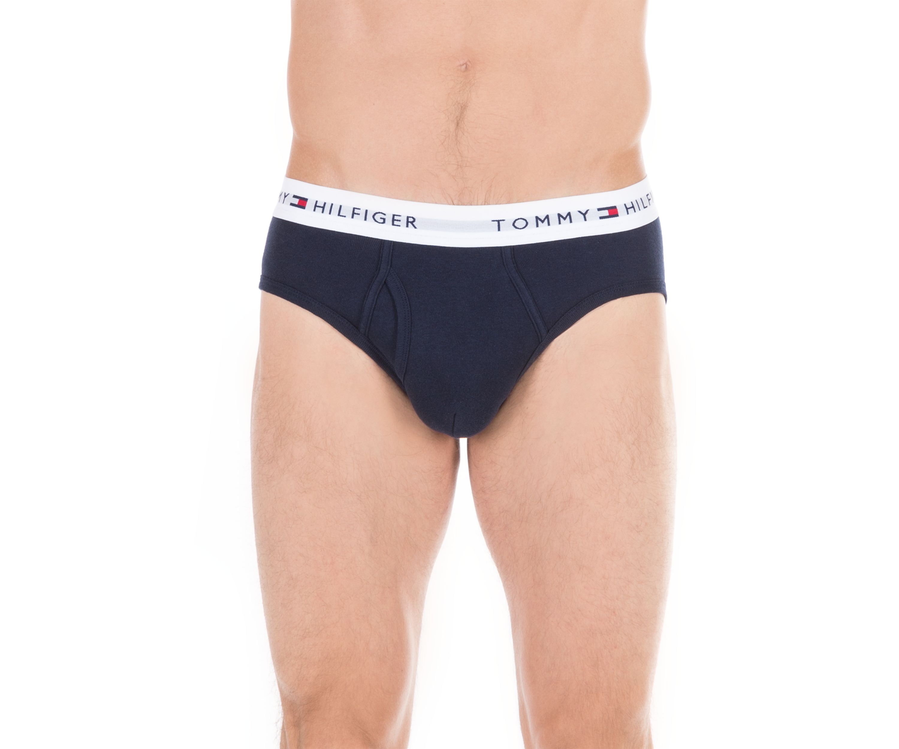 Cotton Classic Briefs - 4 Pack 