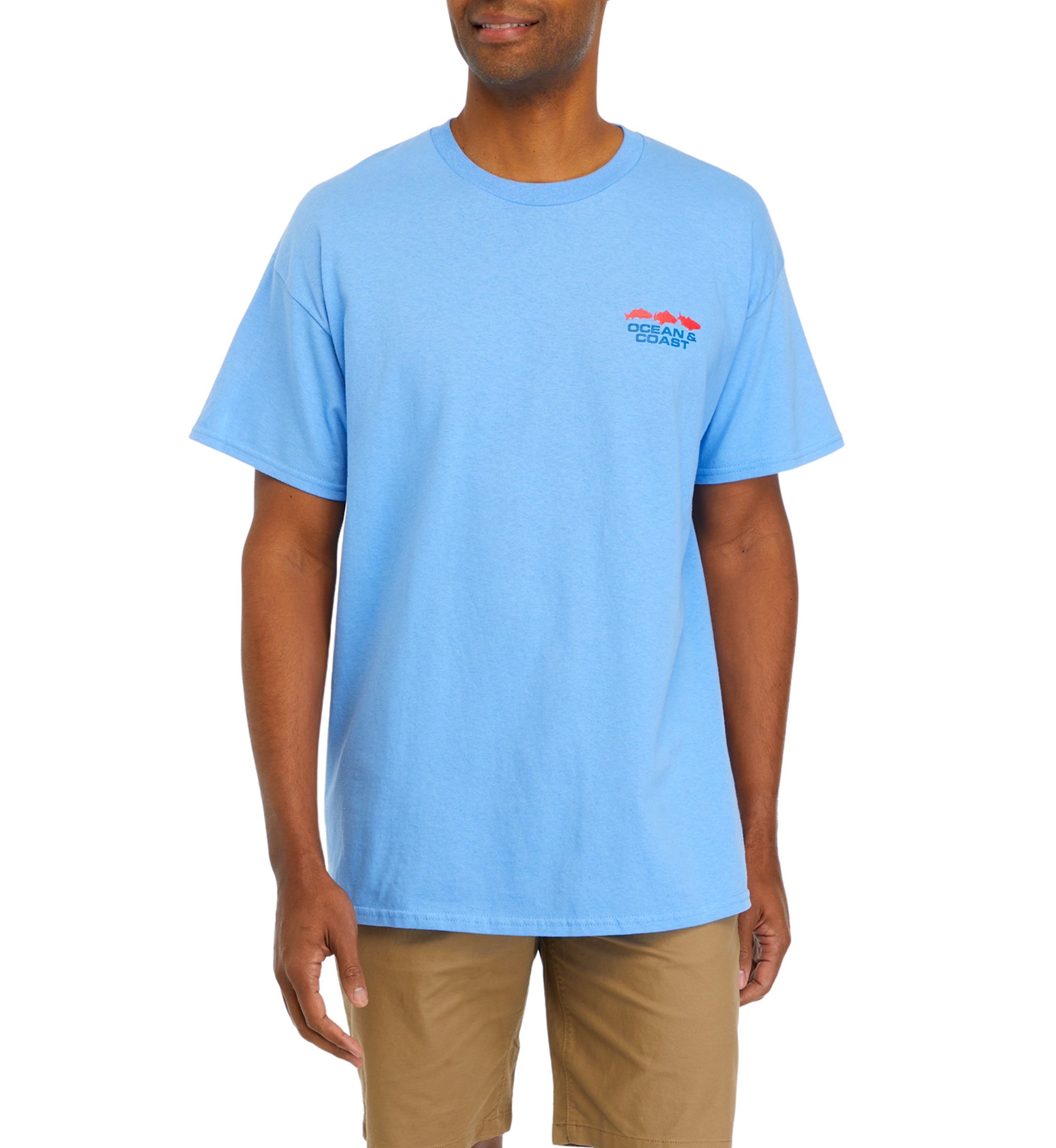 Georgia Flag Graphic T-Shirt 