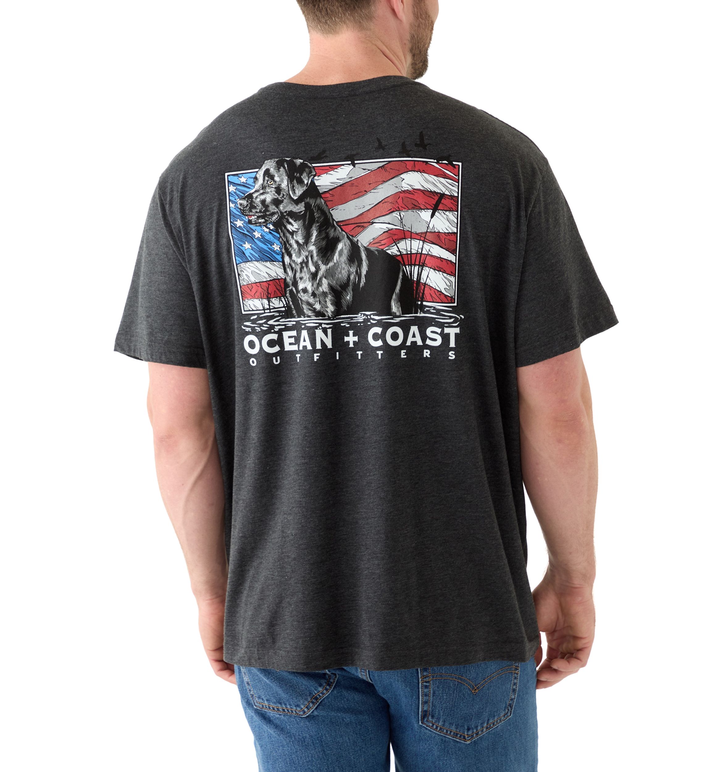 Big & Tall Americana Dog Graphic T-Shirt 
