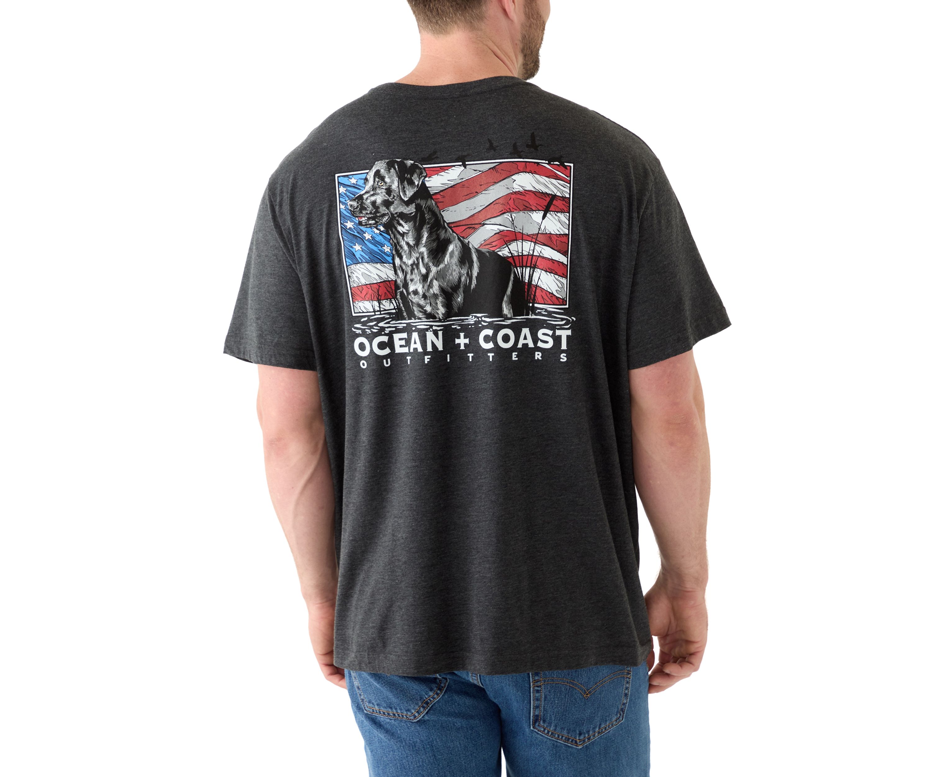 Big & Tall Americana Dog Graphic T-Shirt 