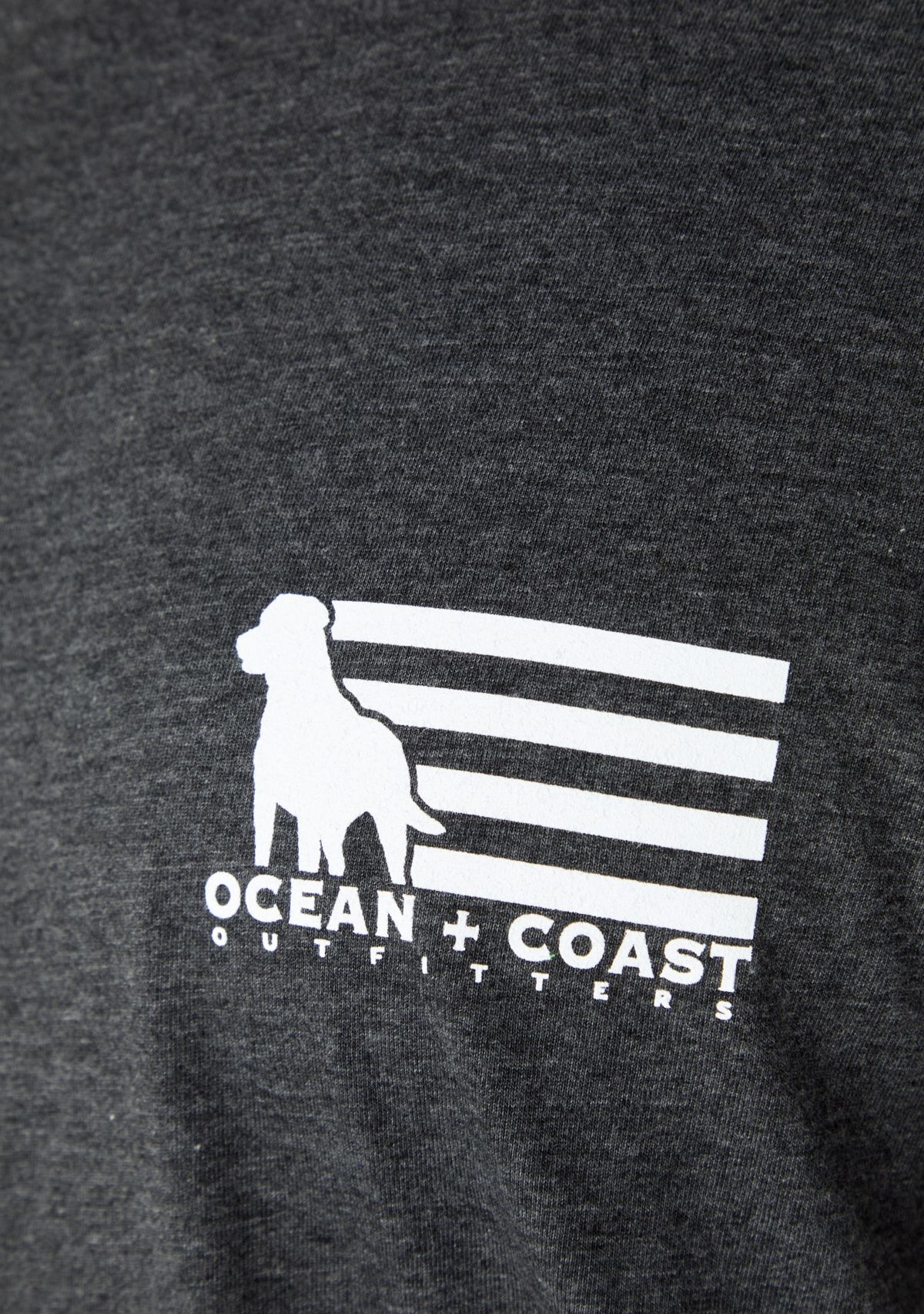 Big & Tall Americana Dog Graphic T-Shirt 