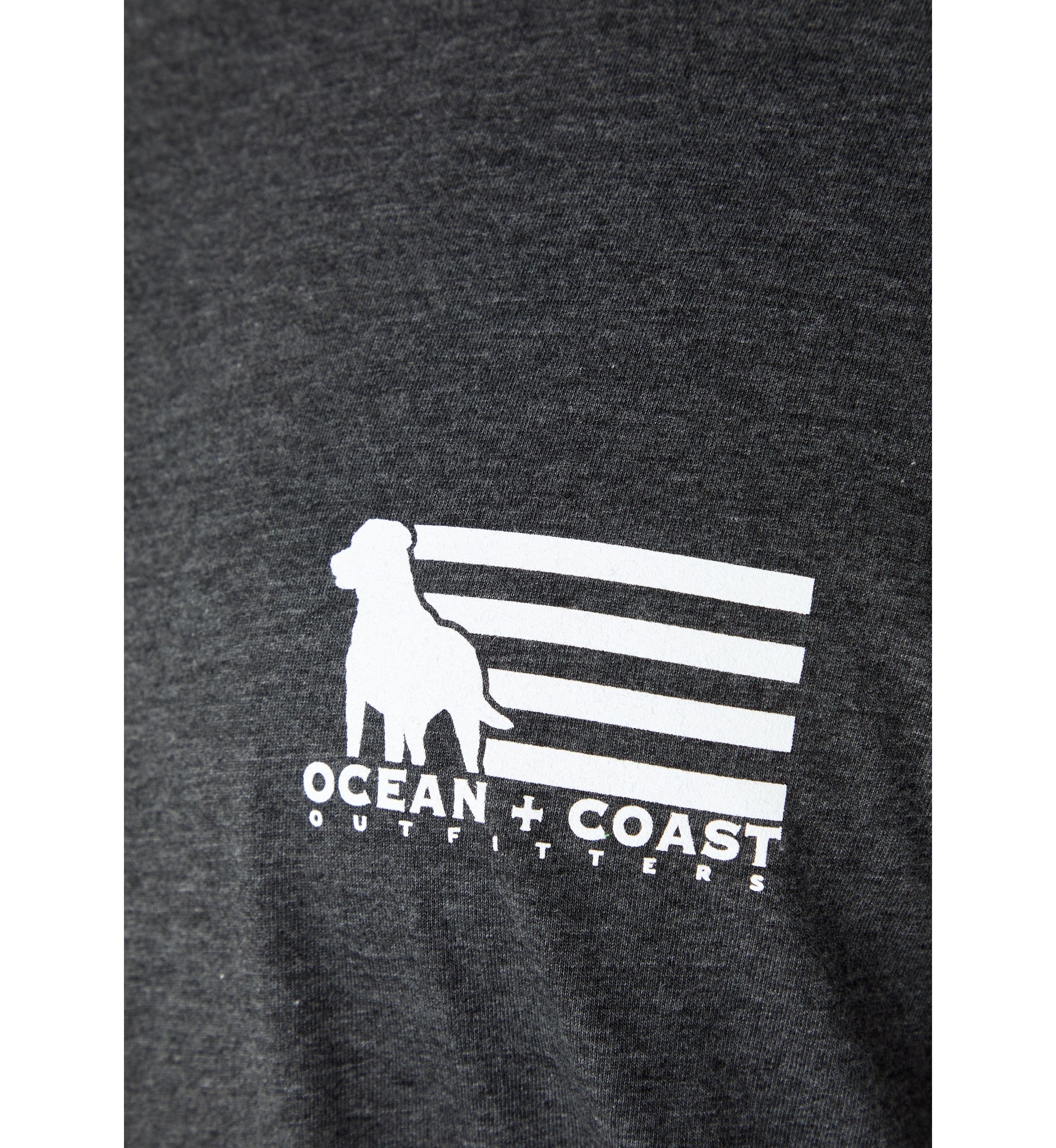 Big & Tall Americana Dog Graphic T-Shirt 