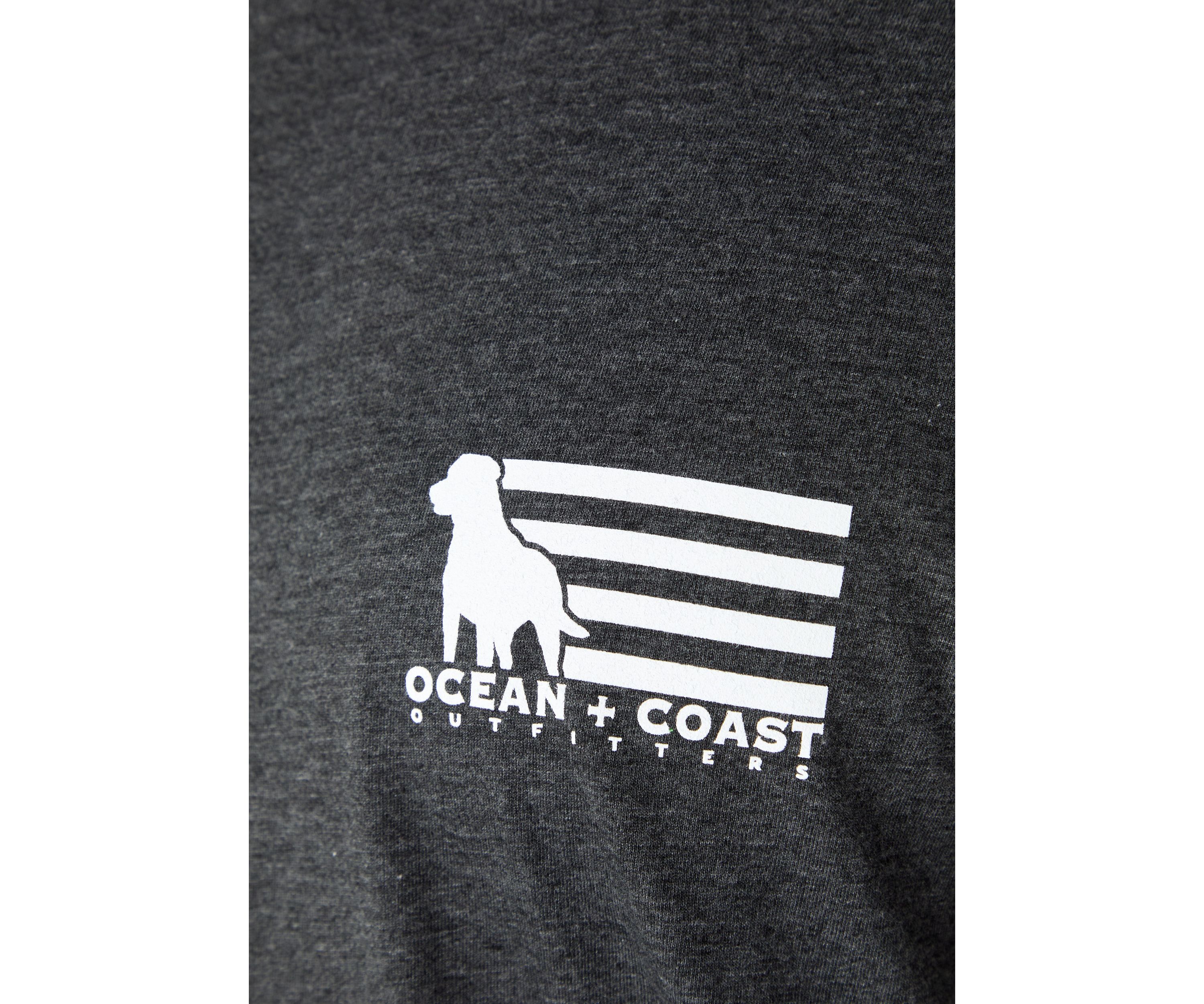 Big & Tall Americana Dog Graphic T-Shirt 