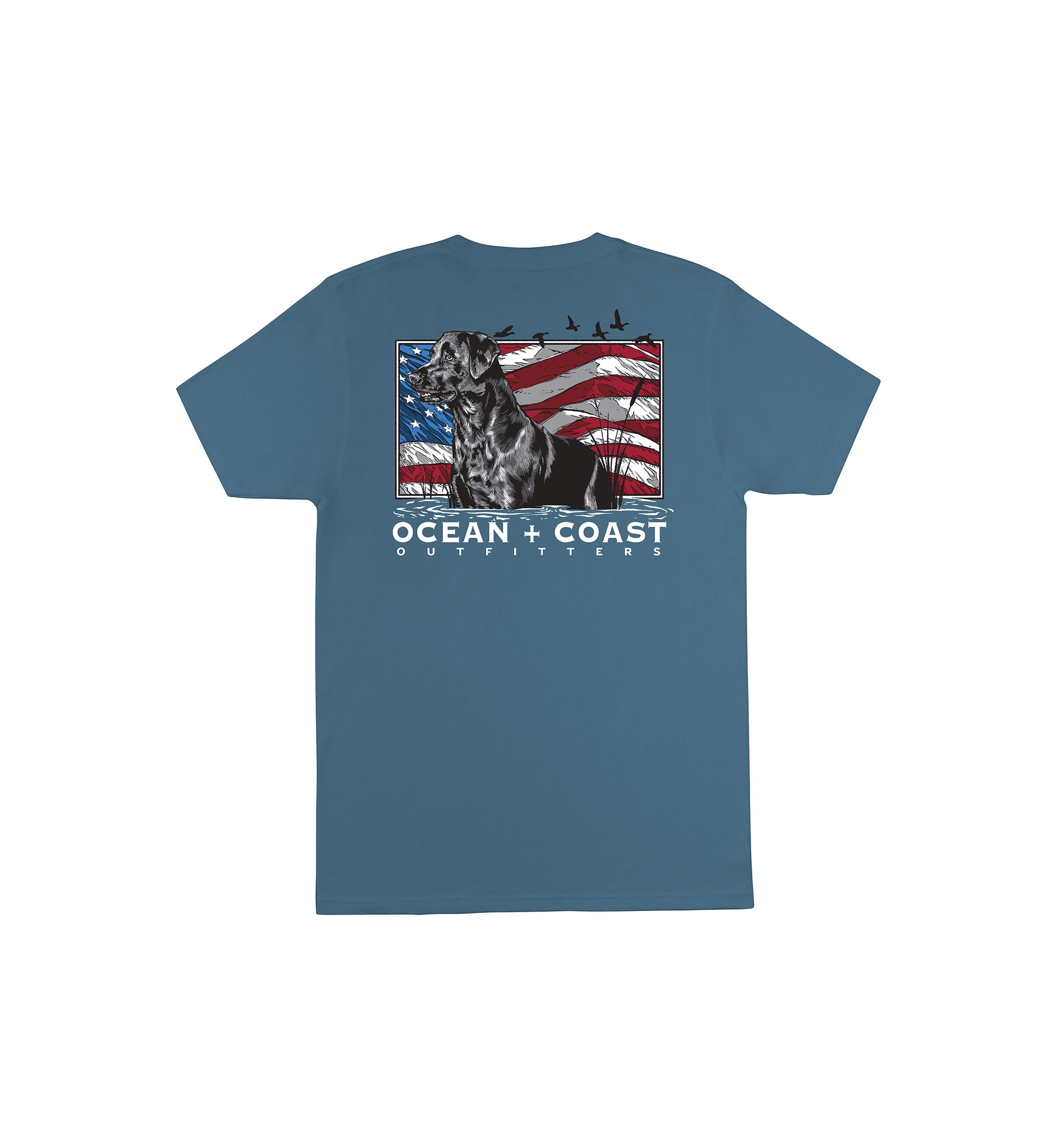 Short Sleeve Americana Dog Flag Graphic T-Shirt