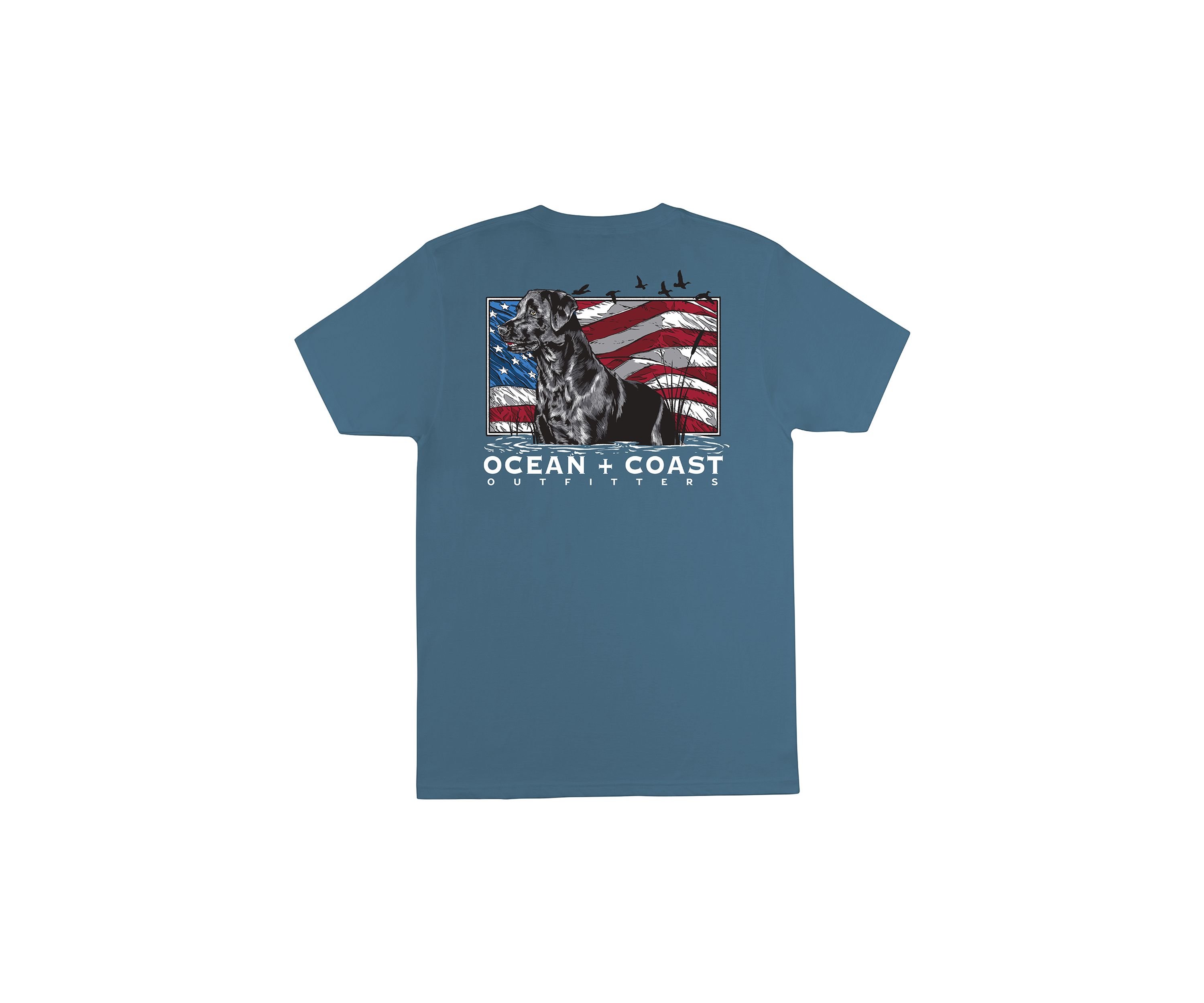 Short Sleeve Americana Dog Flag Graphic T-Shirt