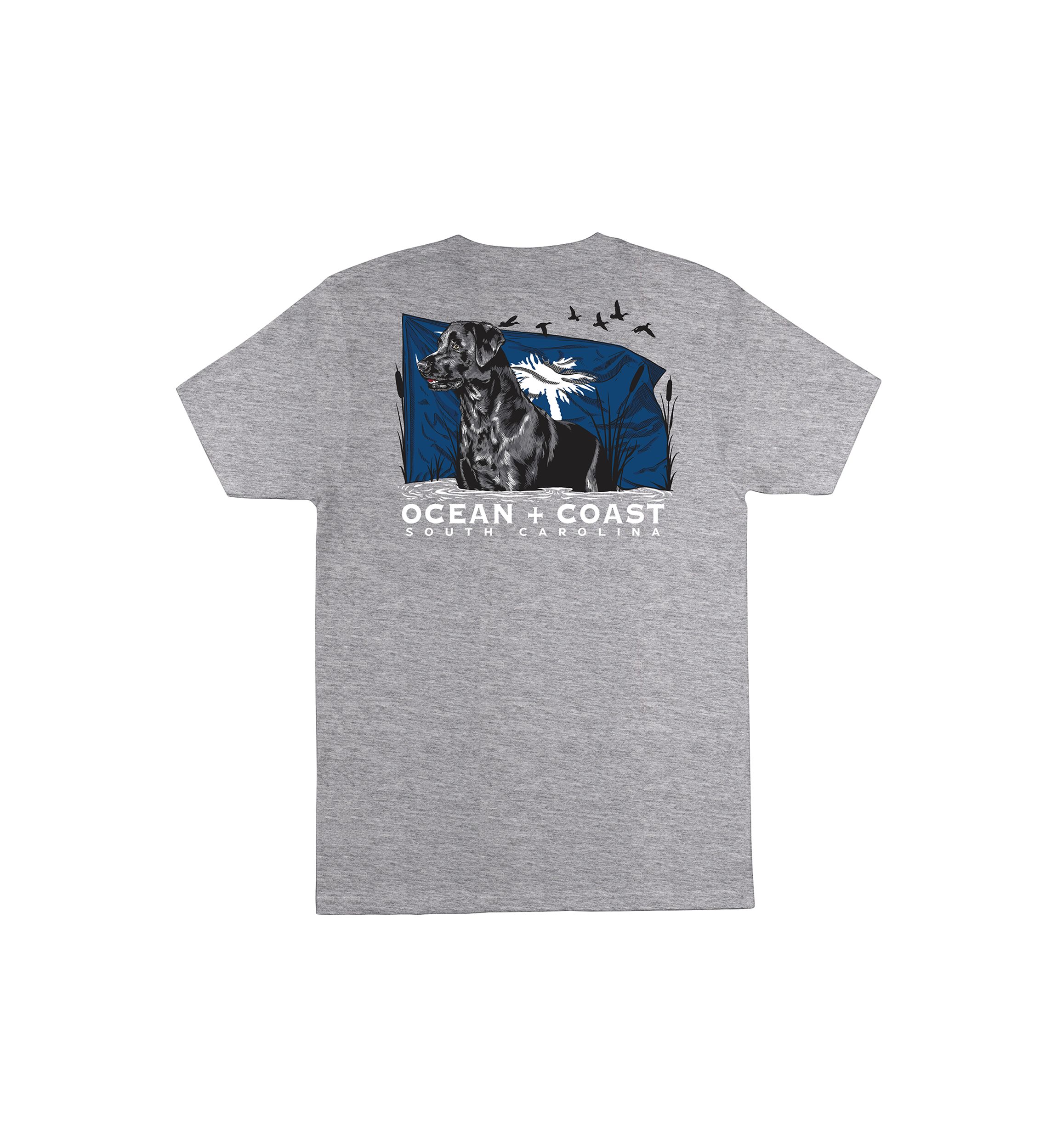 South Carolina Short Sleeve Graphic T-Shirt