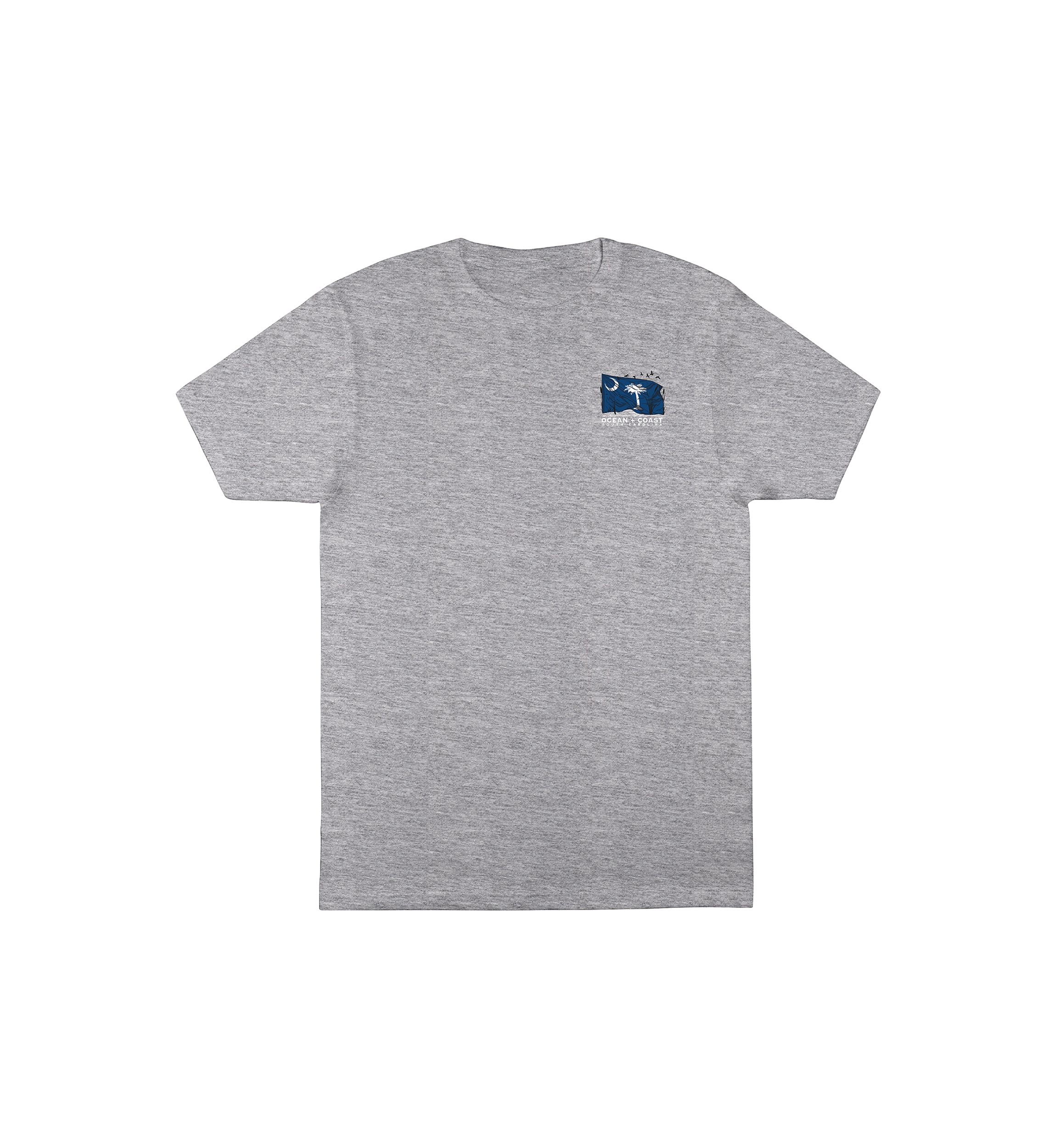 South Carolina Short Sleeve Graphic T-Shirt