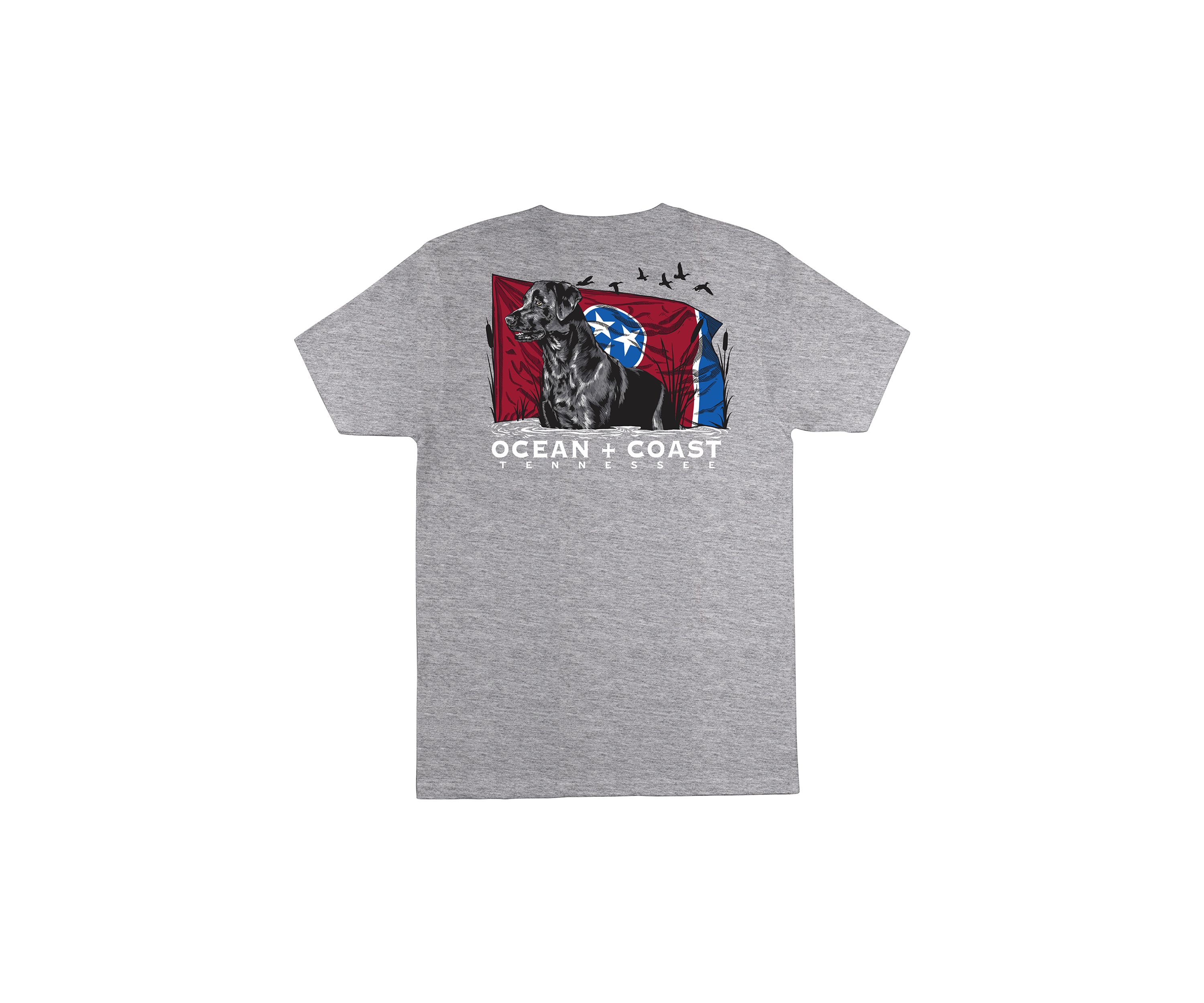 Tennessee Short Sleeve Graphic T-Shirt 