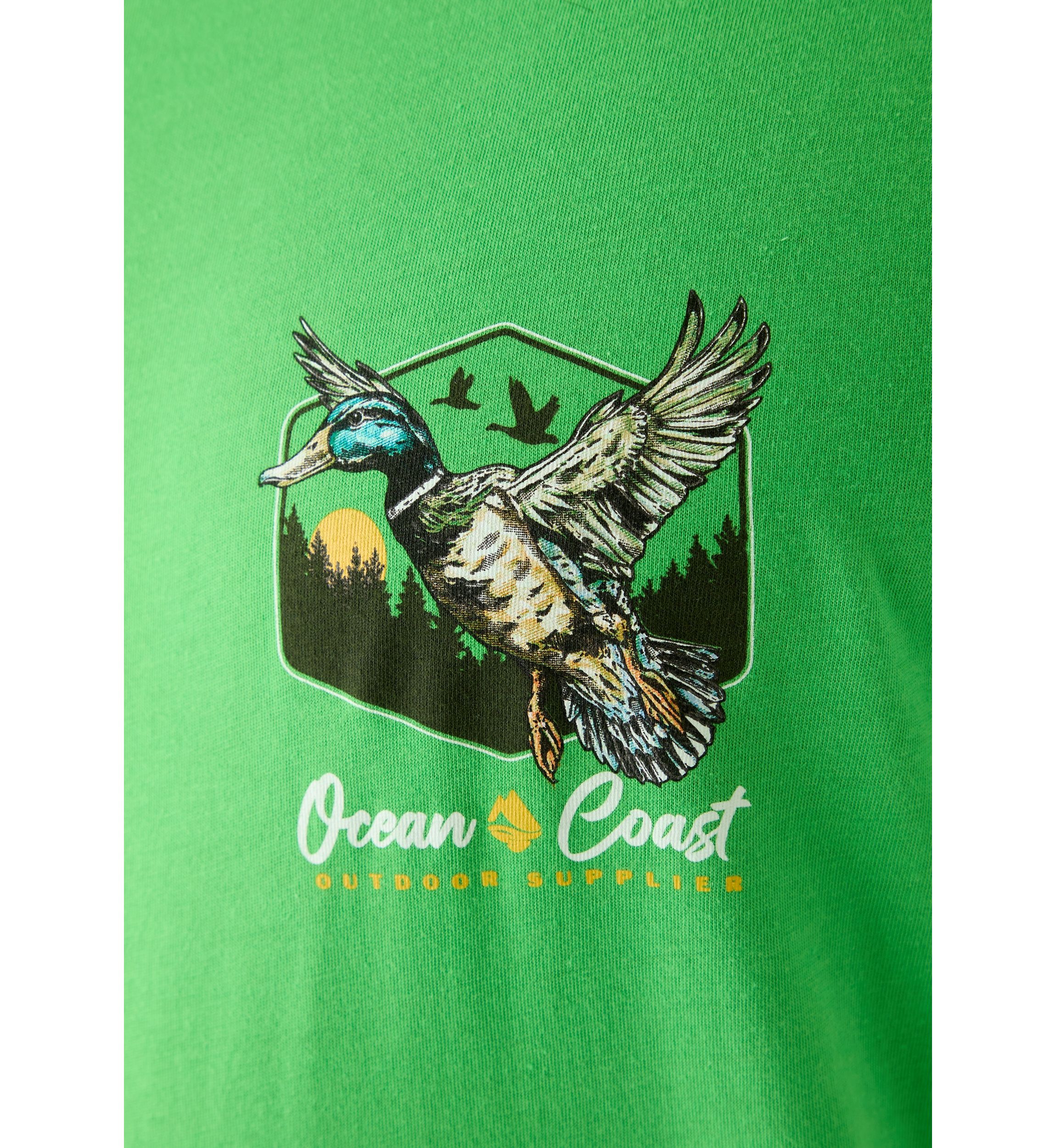 Big & Tall Cotton Graphic T-Shirt 
