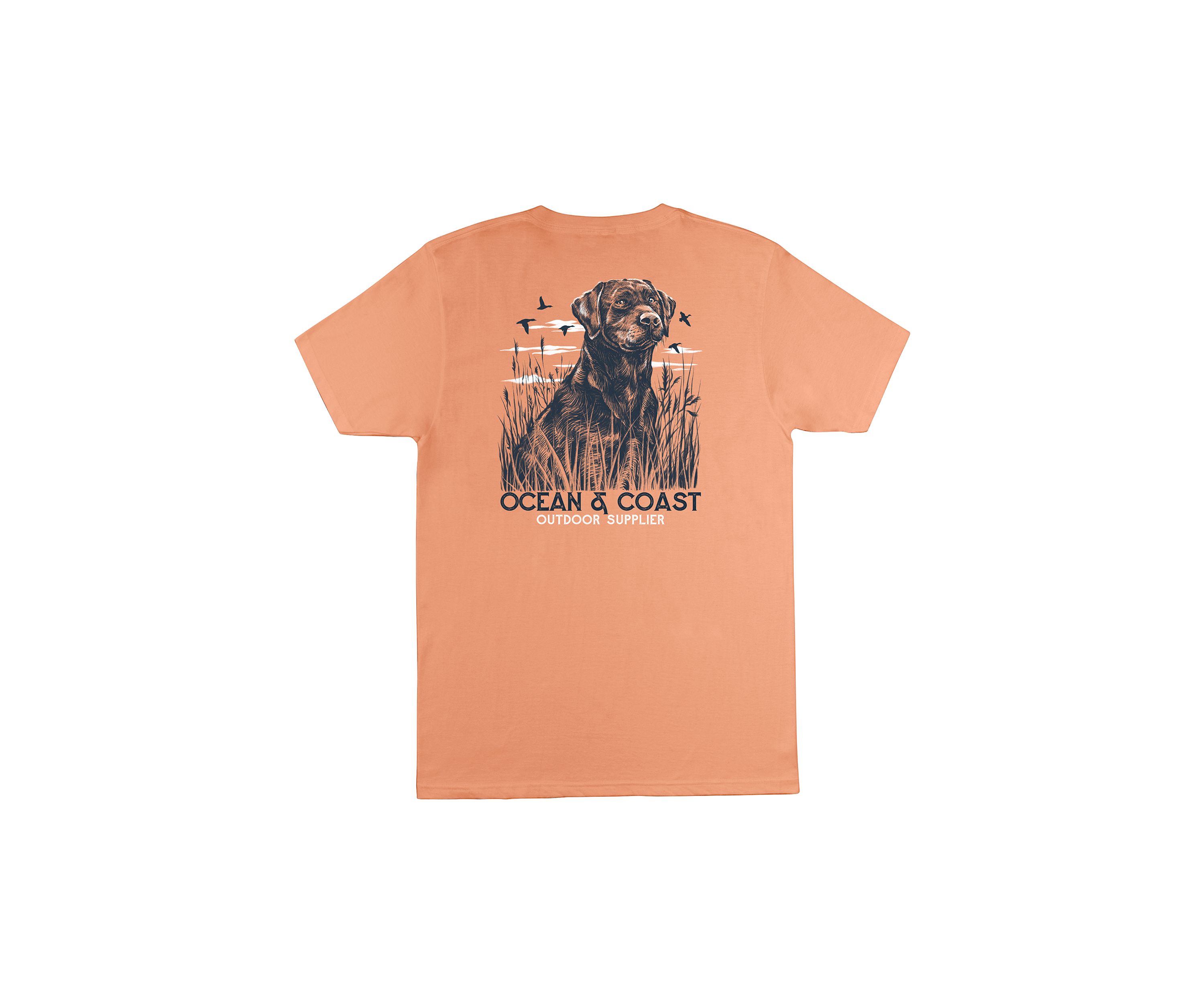 Big & Tall Short Sleeve Howard Graphic T-Shirt