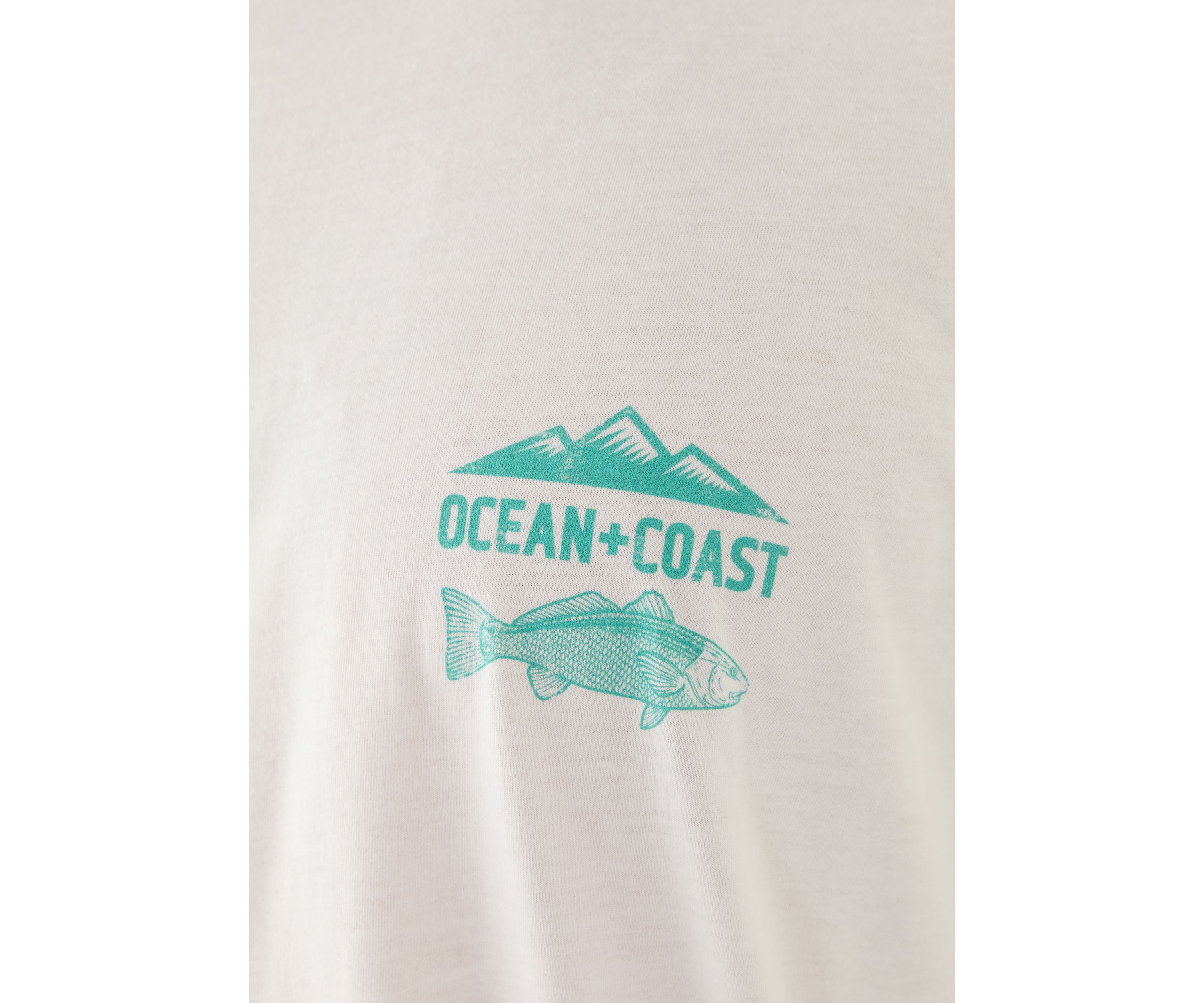 Big & Tall Fish Graphic T-Shirt 