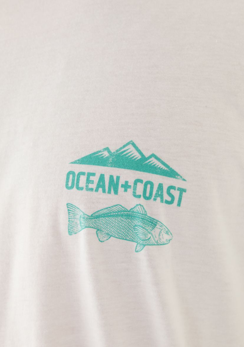 Big & Tall Fish Graphic T-Shirt 