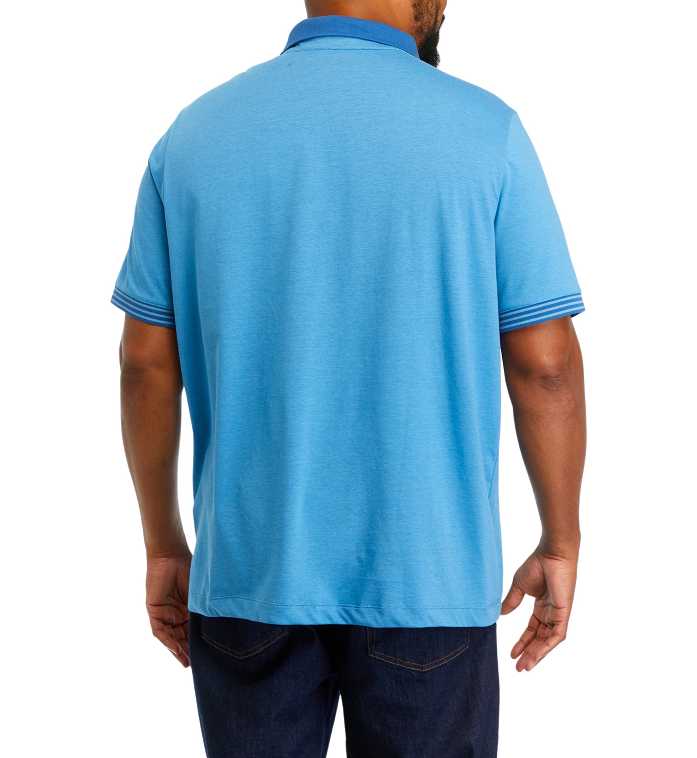 Big & Tall Short Sleeve Stripe Polo Shirt