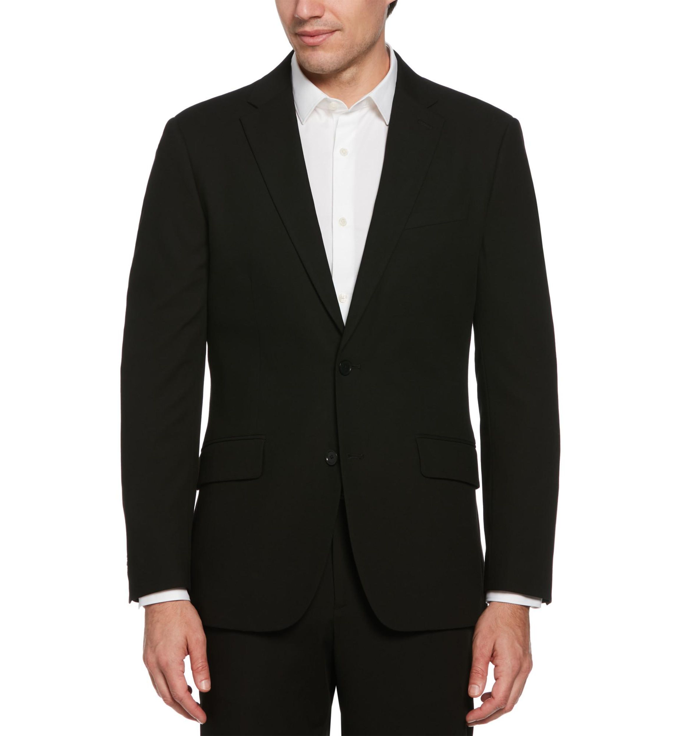 Big & Tall Slim Louis Suit Separate Jacket