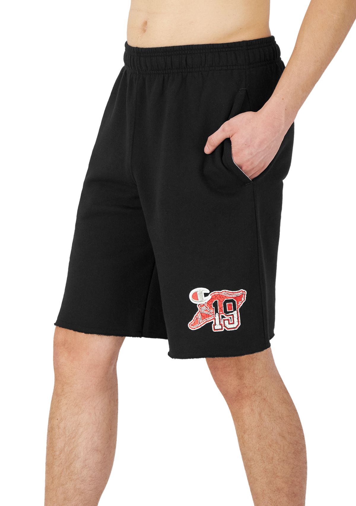 10 Varsity Shorts
