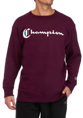 Men s Champion Hoodies Sweatshirts