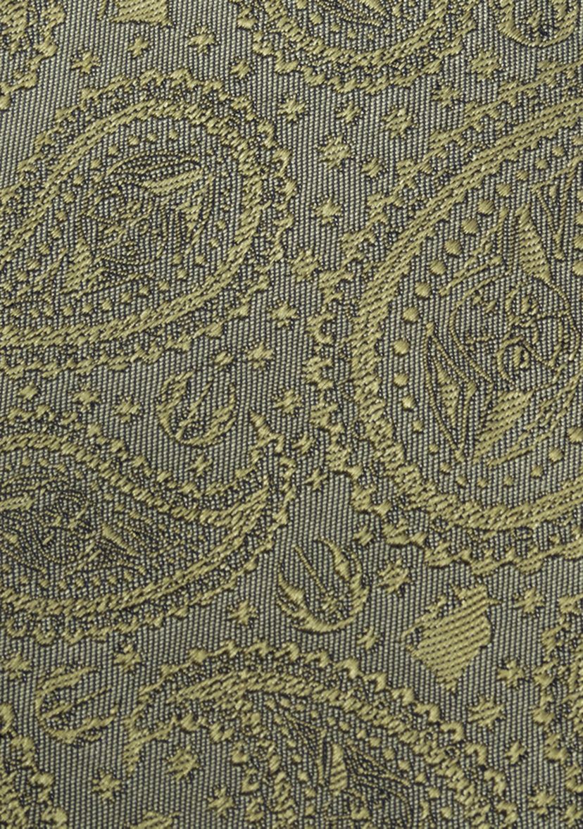 Mens Yoda Paisley Sage Green Silk Tie