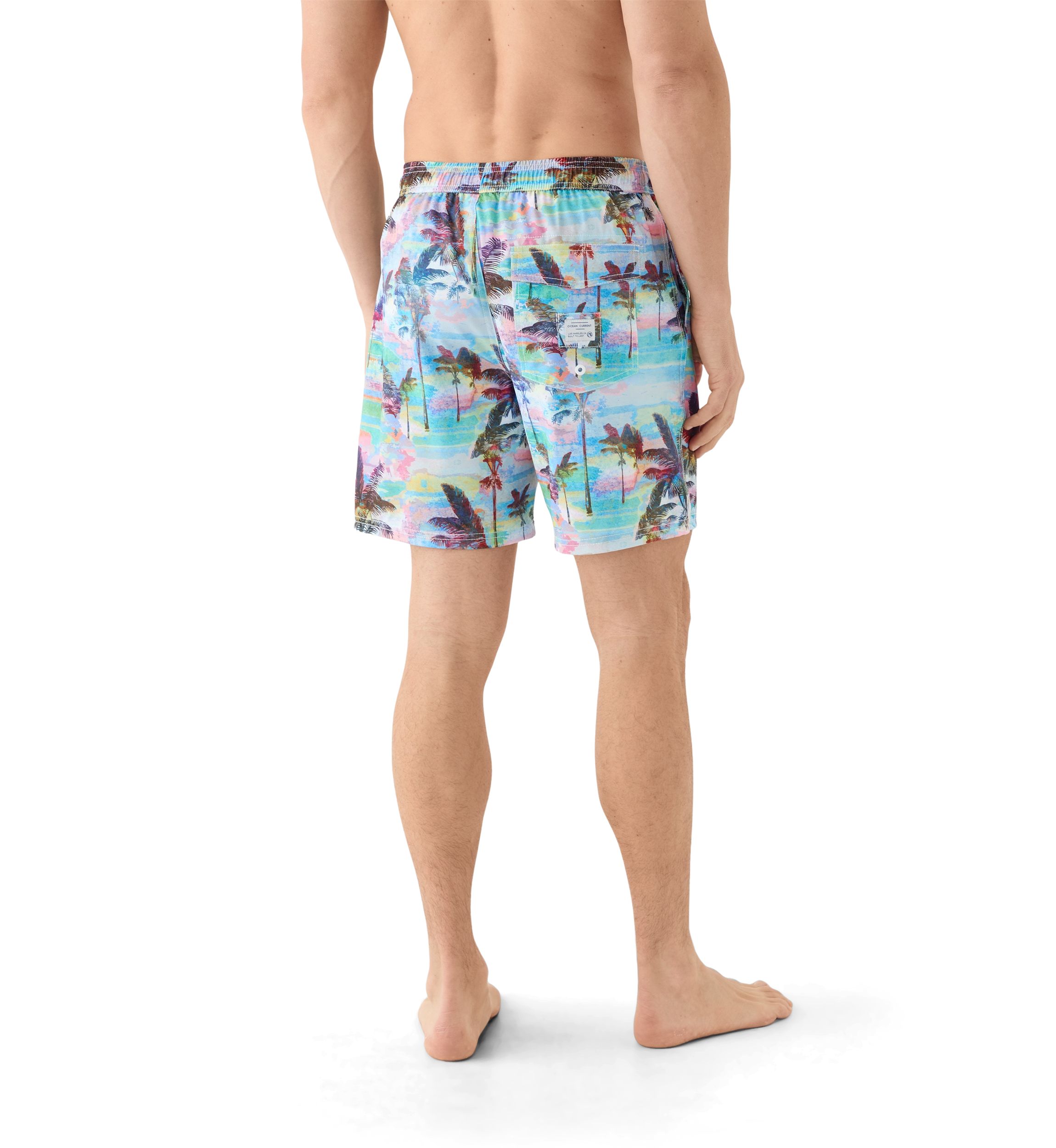 Rockford Volley Swim Trunks