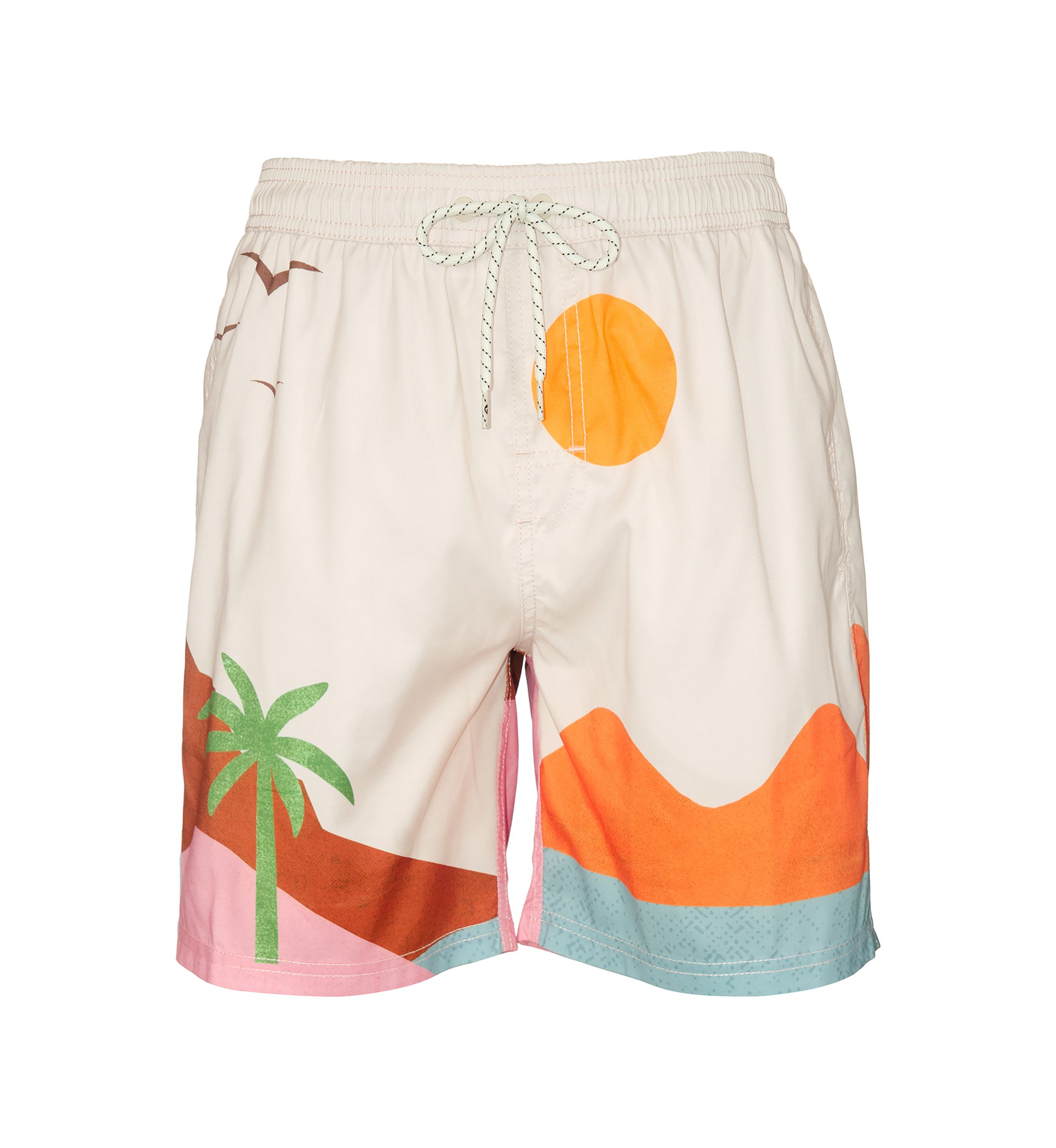 Vista Volley Swim Trunks