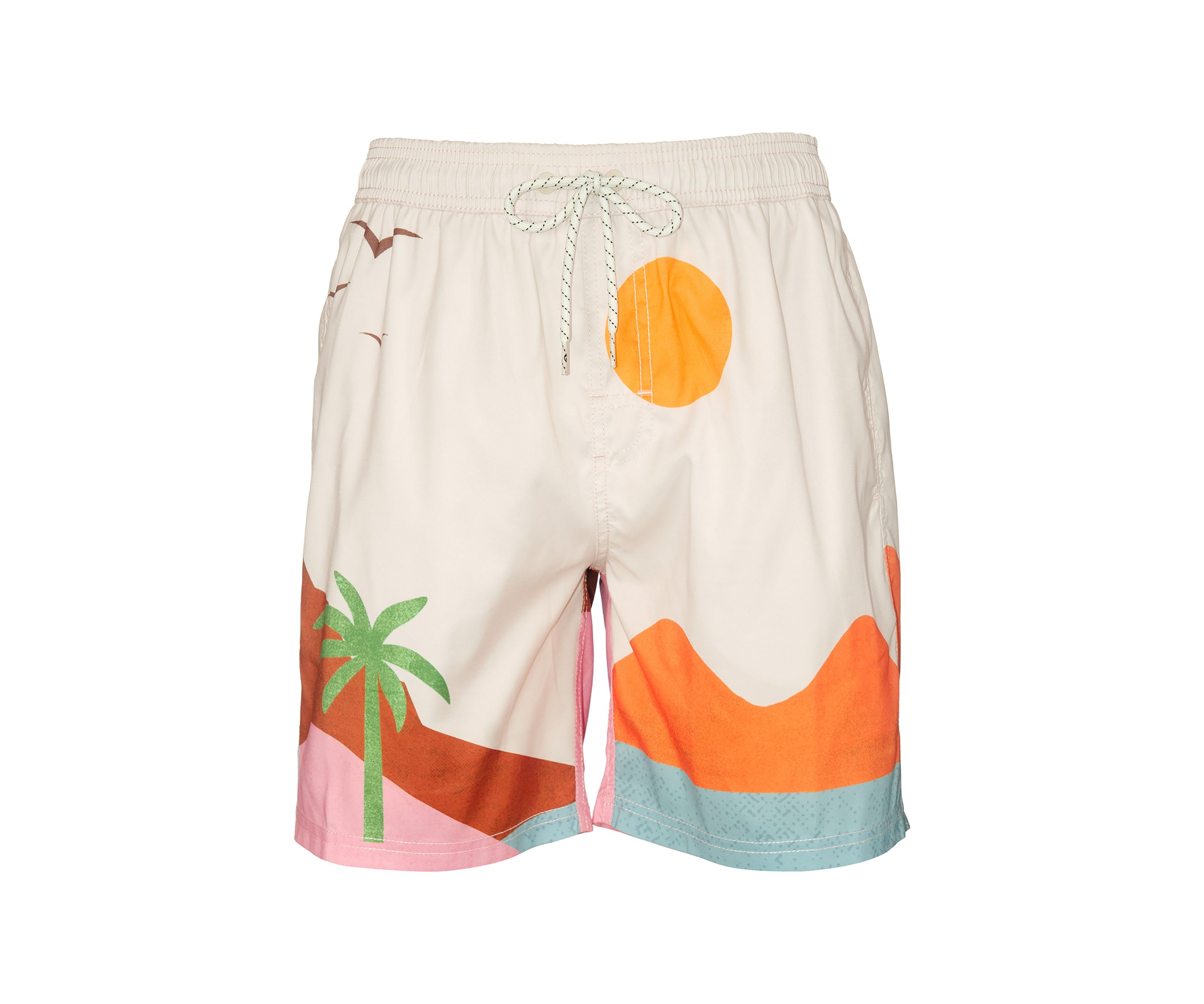 Vista Volley Swim Trunks