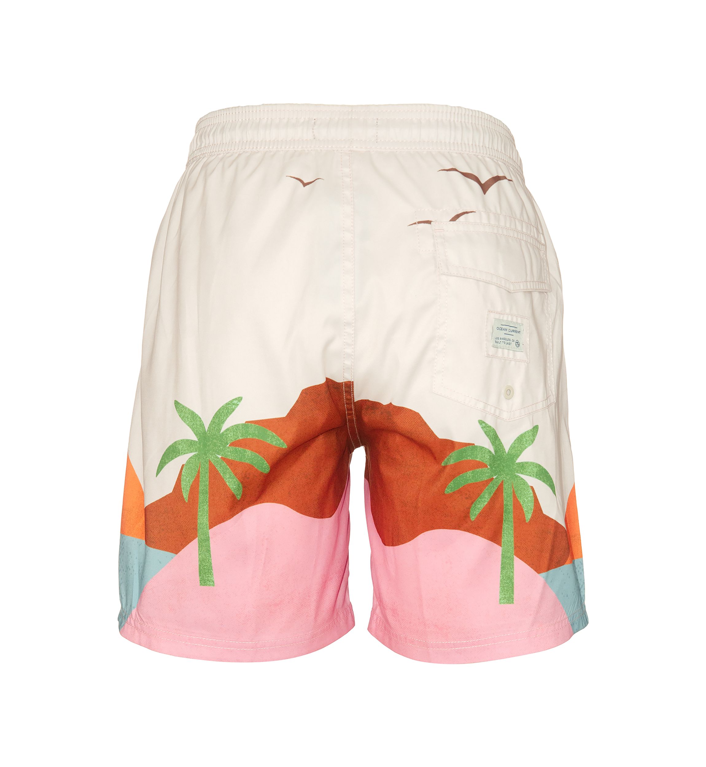 Vista Volley Swim Trunks