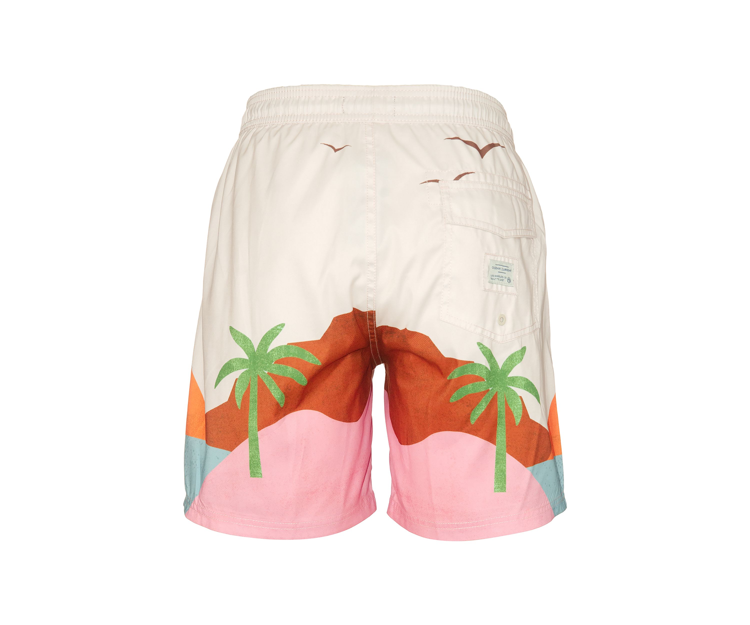 Vista Volley Swim Trunks