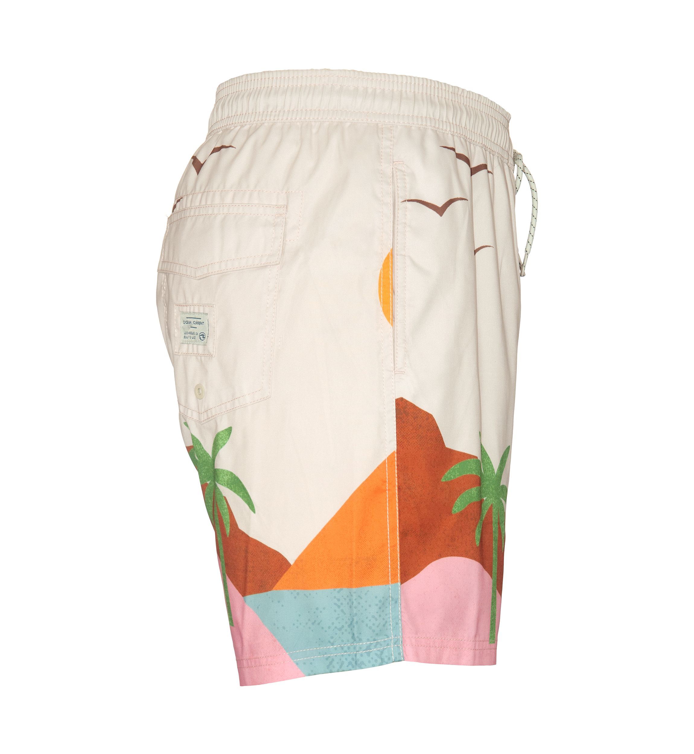 Vista Volley Swim Trunks